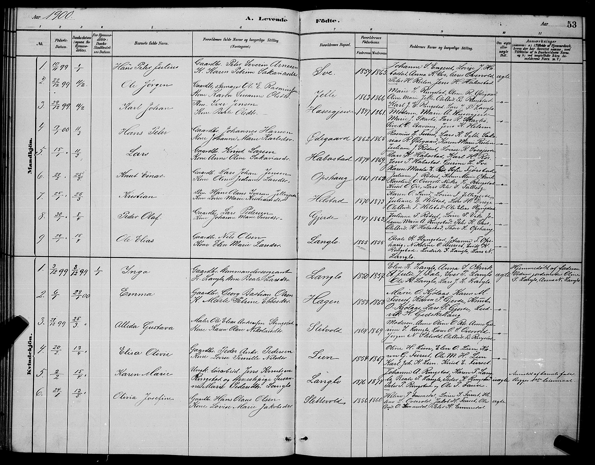 Ministerialprotokoller, klokkerbøker og fødselsregistre - Møre og Romsdal, AV/SAT-A-1454/520/L0292: Parish register (copy) no. 520C04, 1882-1901, p. 53