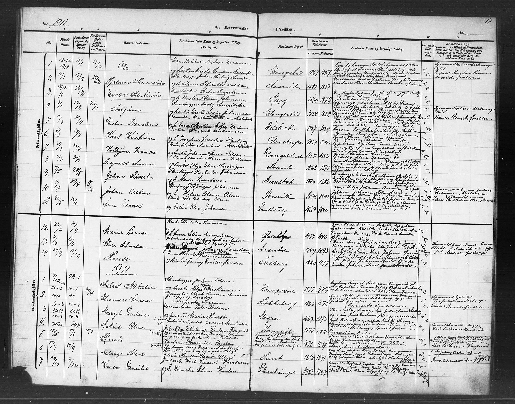 Skjeberg prestekontor Kirkebøker, AV/SAO-A-10923/G/Gb/L0001: Parish register (copy) no. II 1, 1901-1919, p. 17