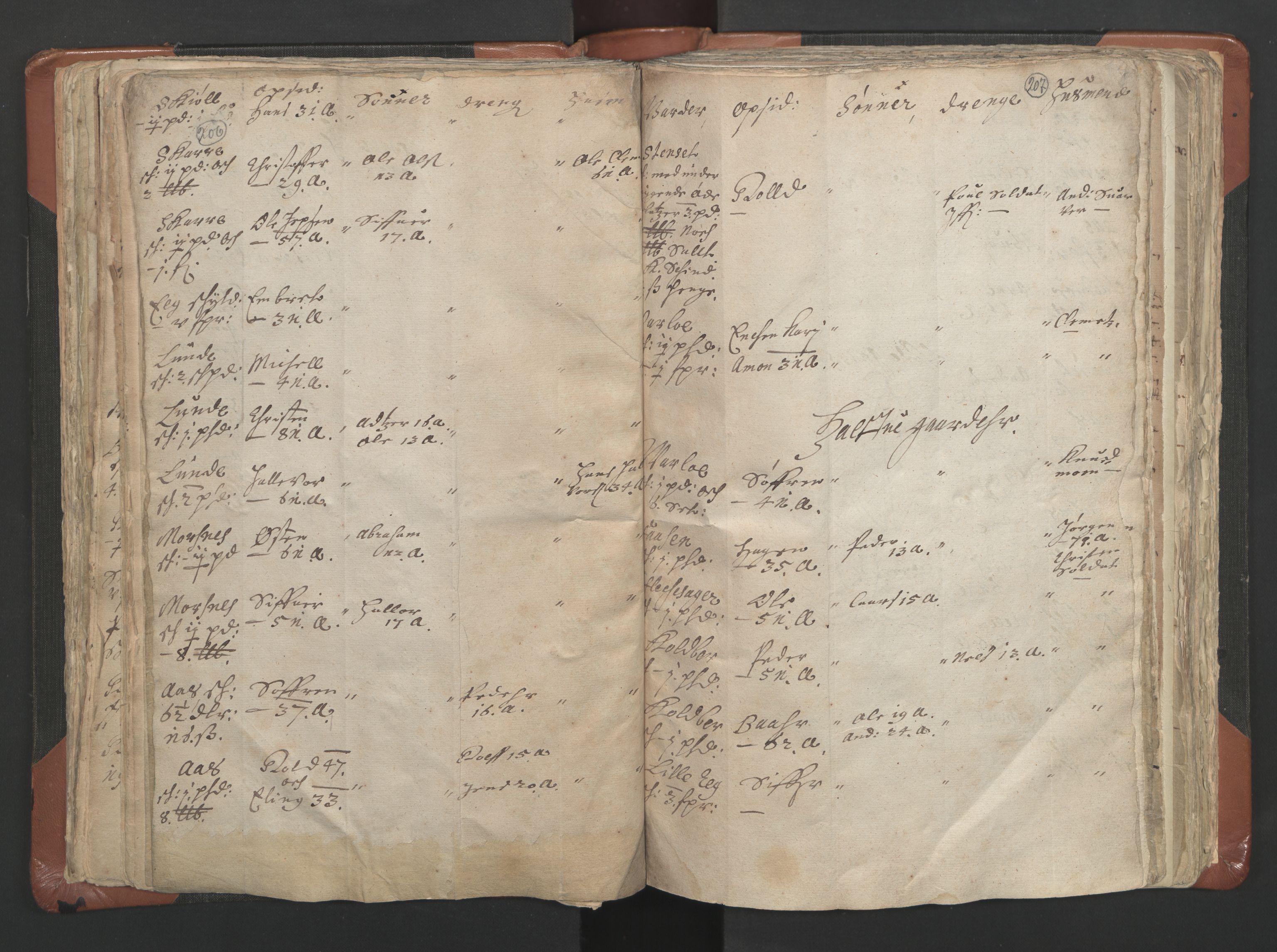 RA, Vicar's Census 1664-1666, no. 9: Bragernes deanery, 1664-1666, p. 206-207