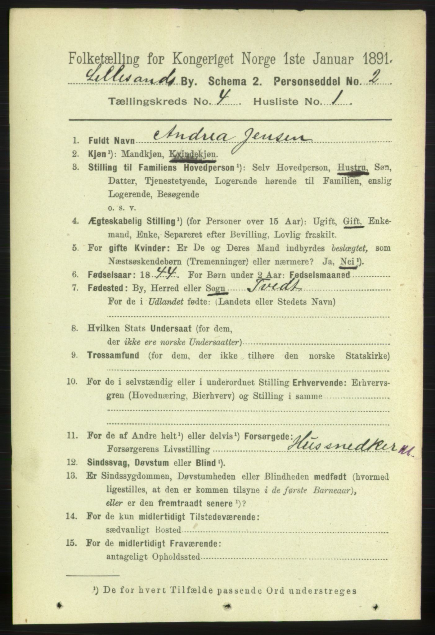 RA, 1891 census for 0905 Lillesand, 1891, p. 1066