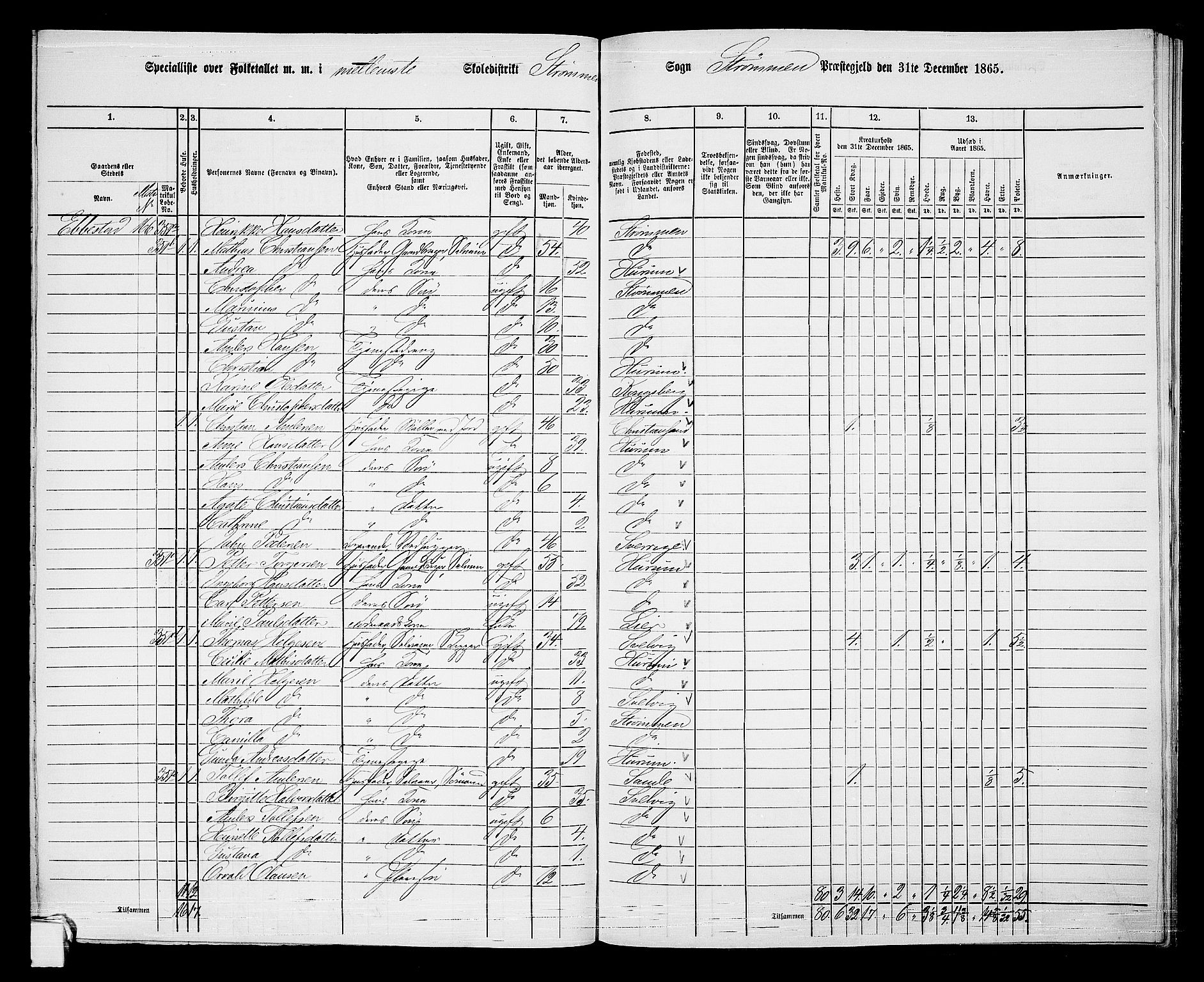 RA, 1865 census for Strømm, 1865, p. 32