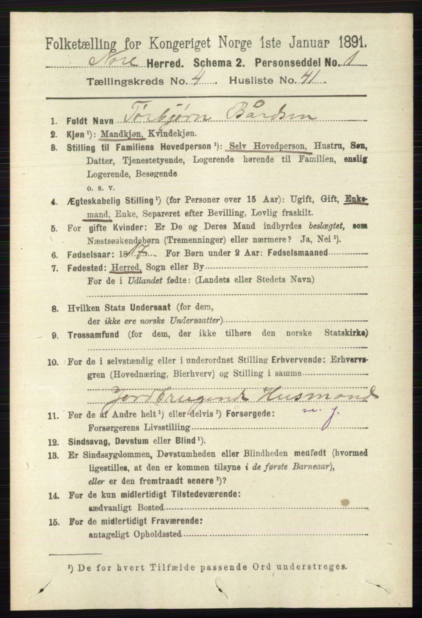 RA, 1891 census for 0633 Nore, 1891, p. 1506