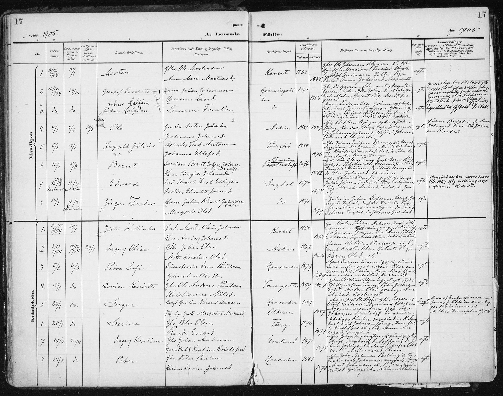 Ministerialprotokoller, klokkerbøker og fødselsregistre - Sør-Trøndelag, SAT/A-1456/646/L0616: Parish register (official) no. 646A14, 1900-1918, p. 17