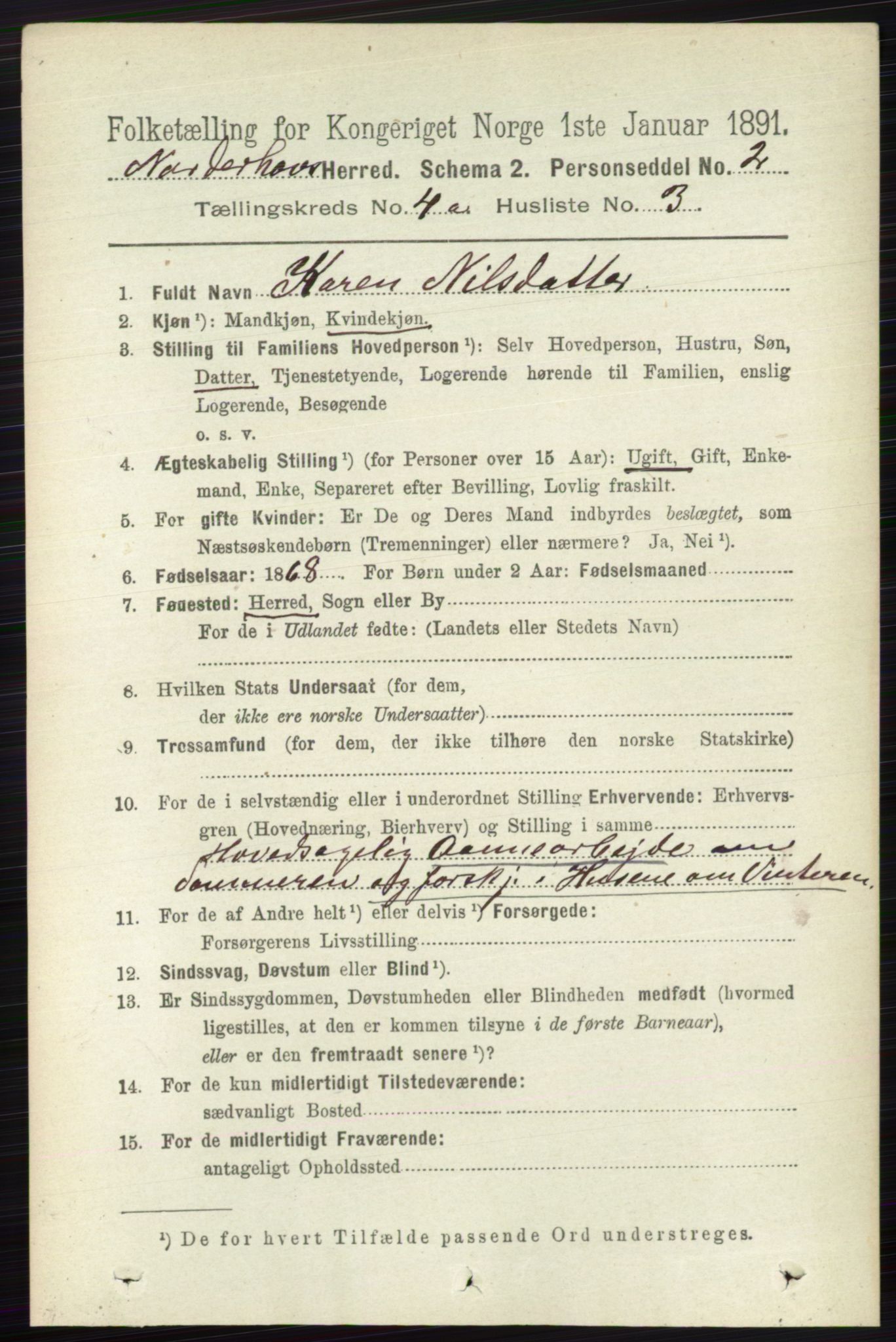 RA, 1891 census for 0613 Norderhov, 1891, p. 1730