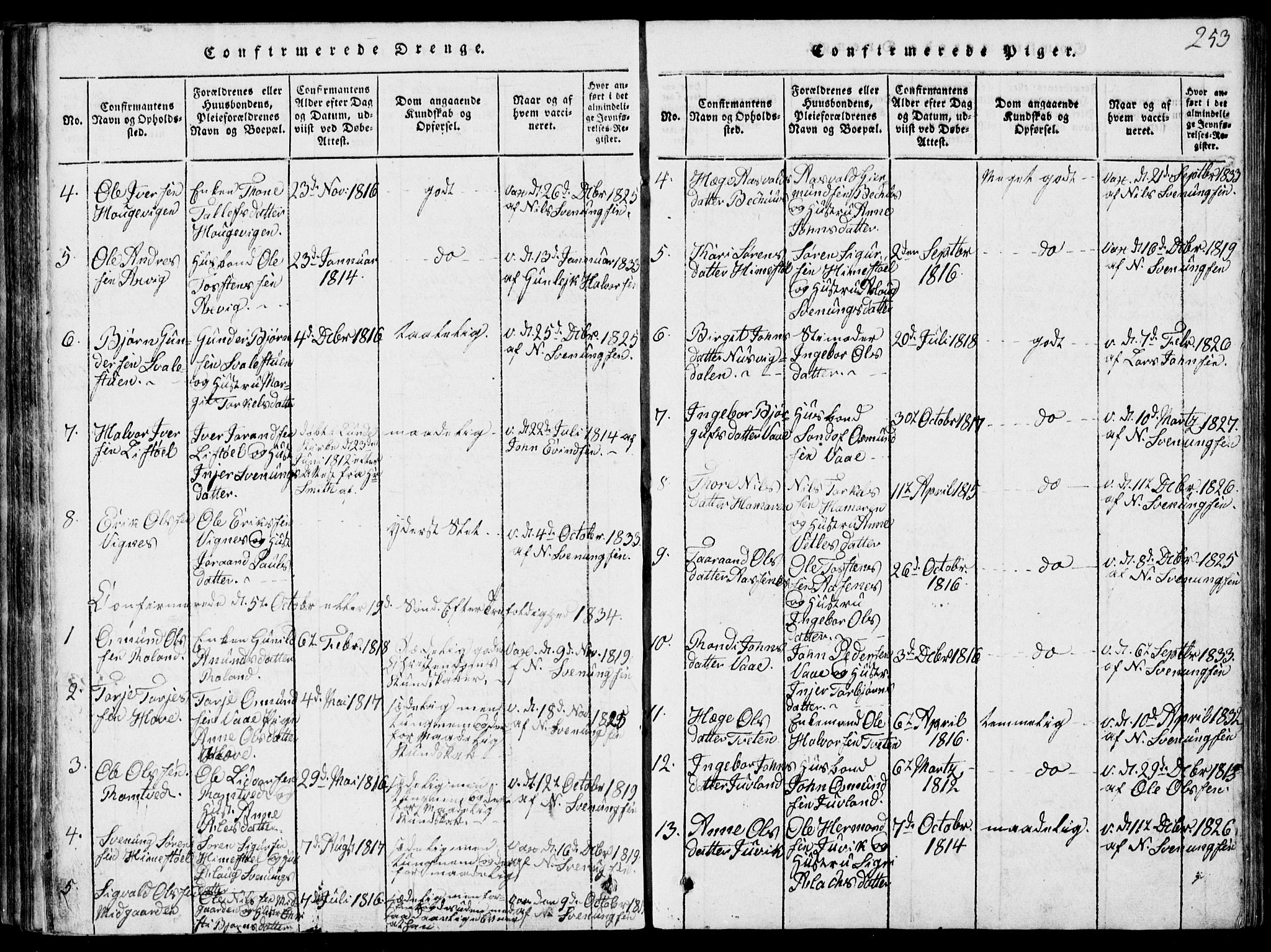 Rauland kirkebøker, SAKO/A-292/G/Ga/L0001: Parish register (copy) no. I 1, 1814-1843, p. 253