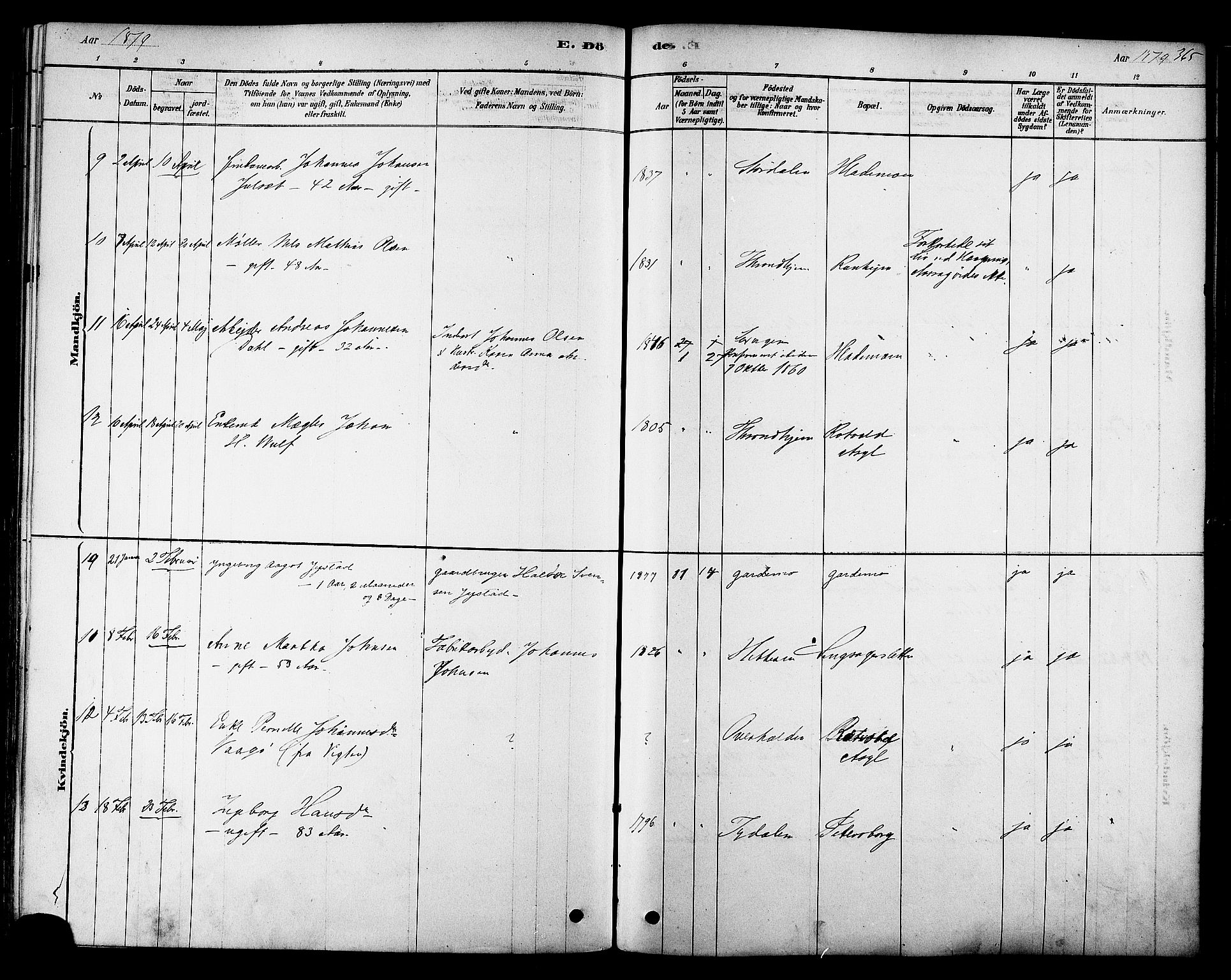 Ministerialprotokoller, klokkerbøker og fødselsregistre - Sør-Trøndelag, AV/SAT-A-1456/606/L0294: Parish register (official) no. 606A09, 1878-1886, p. 365