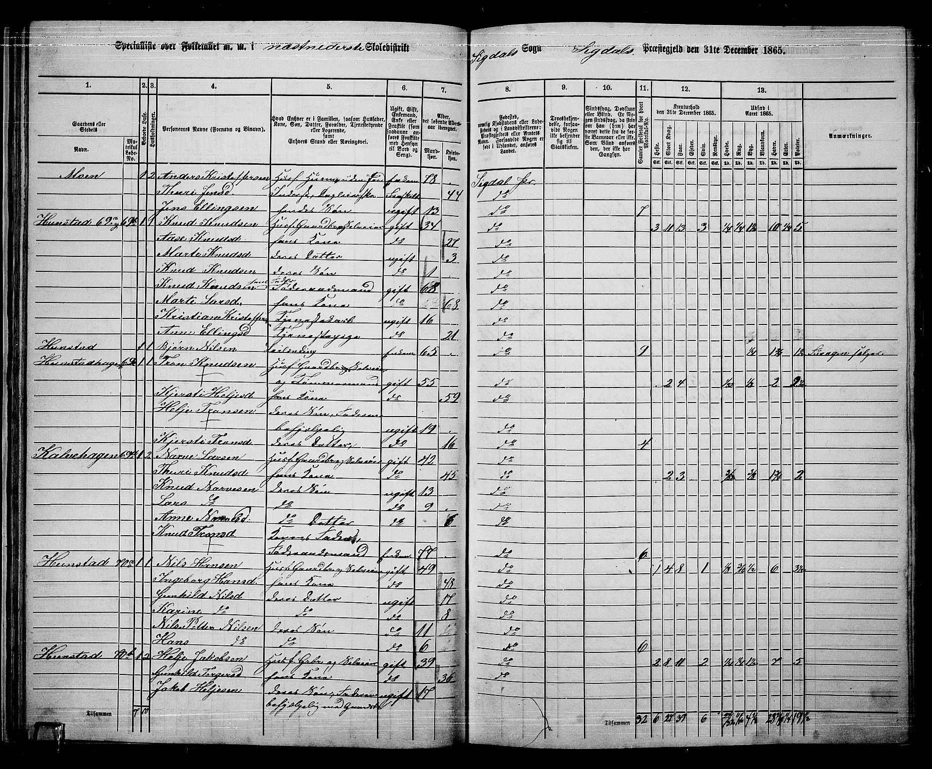 RA, 1865 census for Sigdal, 1865, p. 52