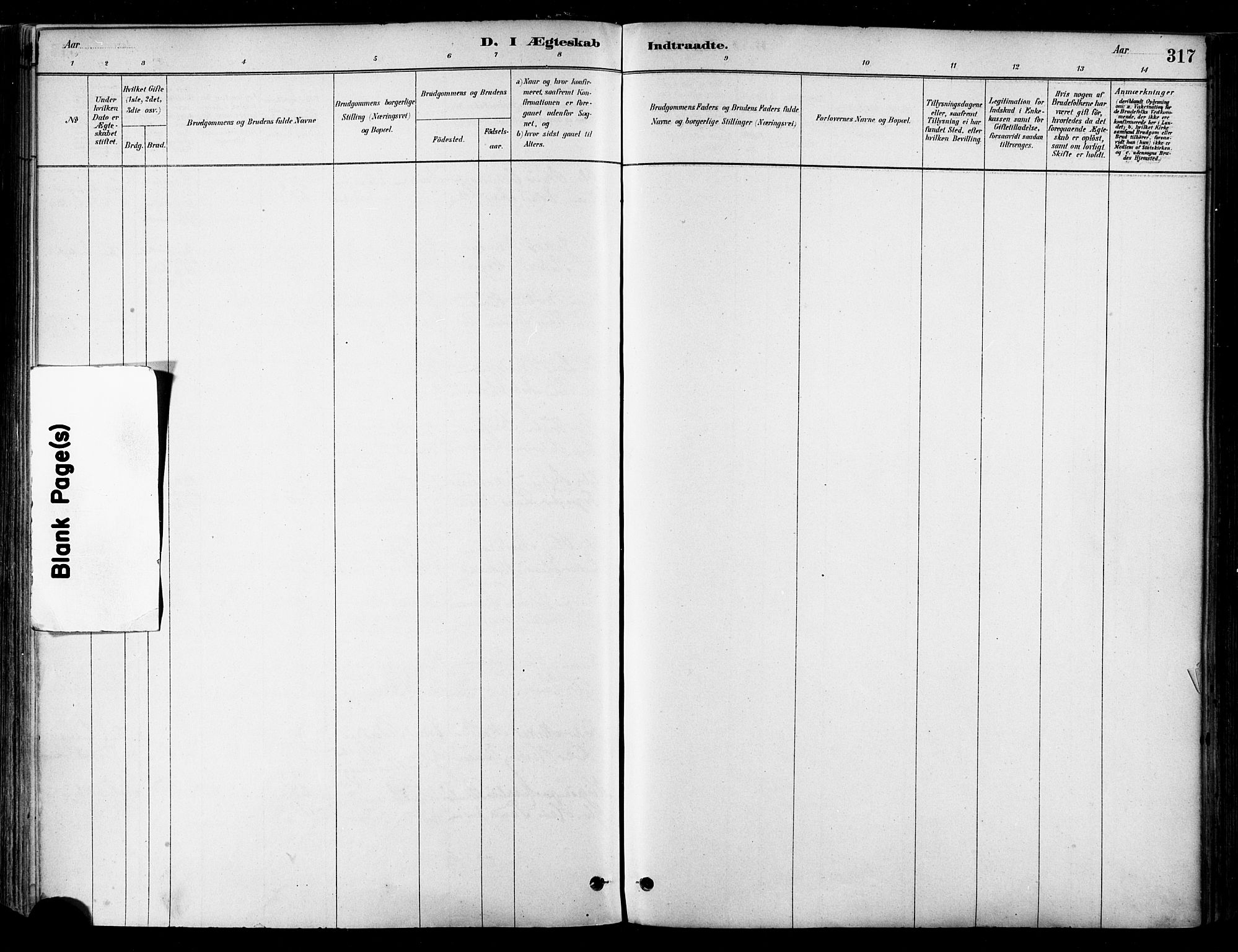 Ministerialprotokoller, klokkerbøker og fødselsregistre - Nordland, SAT/A-1459/802/L0054: Parish register (official) no. 802A01, 1879-1893, p. 317