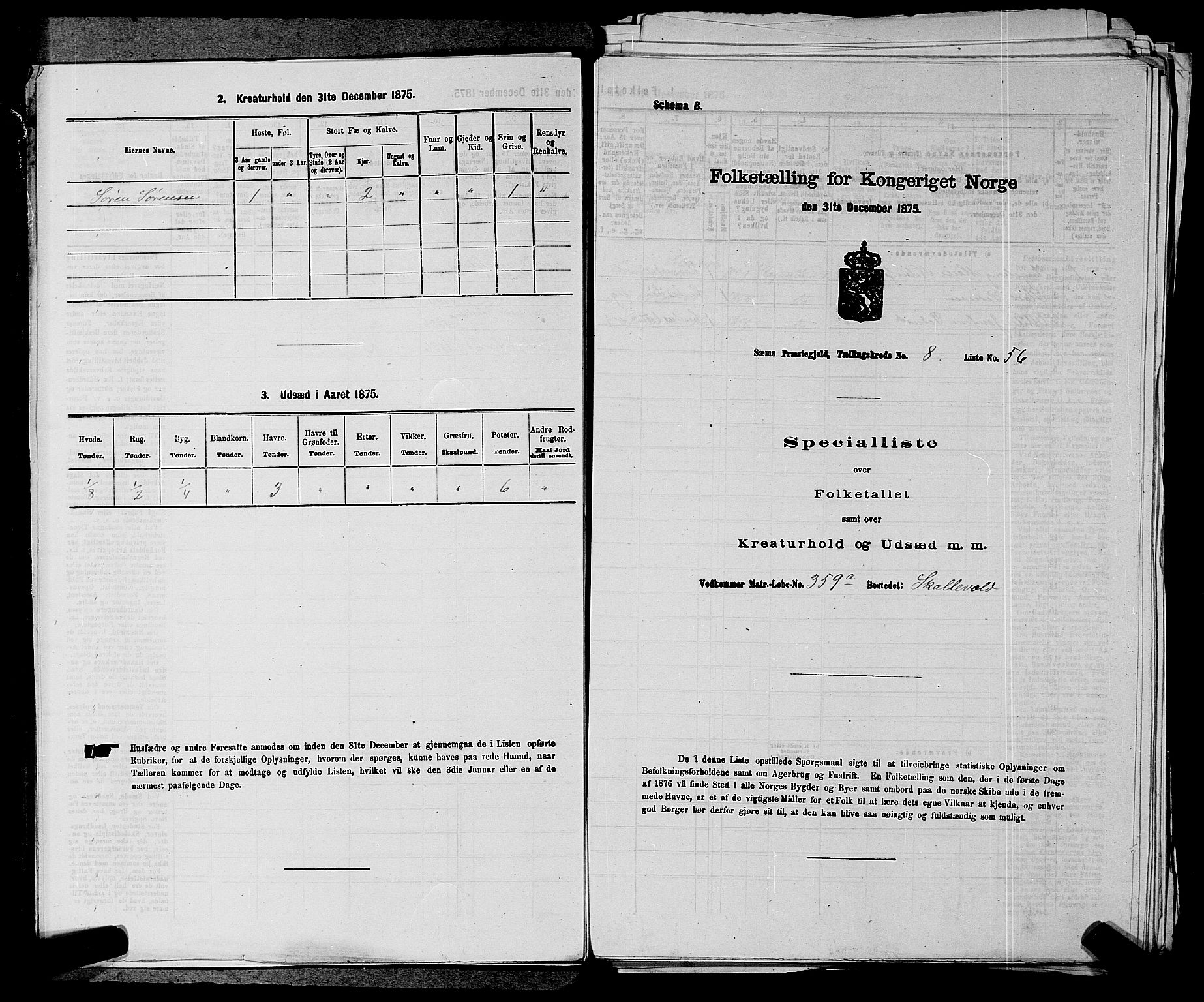 SAKO, 1875 census for 0721P Sem, 1875, p. 1387