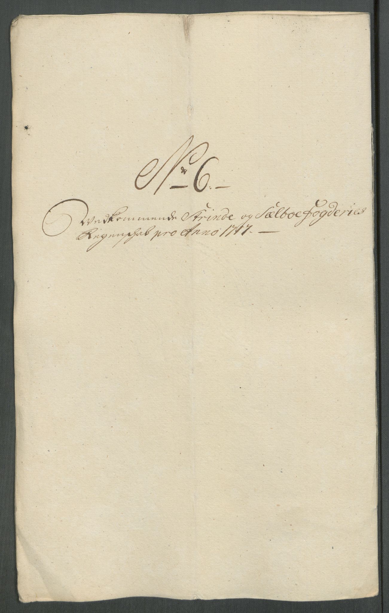 Rentekammeret inntil 1814, Reviderte regnskaper, Fogderegnskap, AV/RA-EA-4092/R61/L4116: Fogderegnskap Strinda og Selbu, 1717-1718, p. 101
