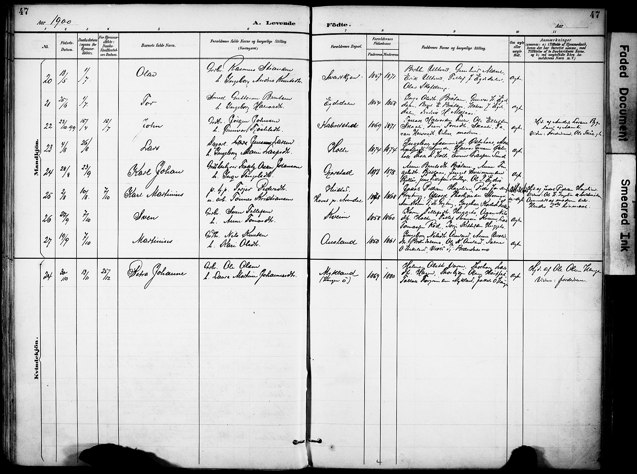 Gjerstad sokneprestkontor, AV/SAK-1111-0014/F/Fa/Faa/L0010: Parish register (official) no. A 10, 1891-1902, p. 47