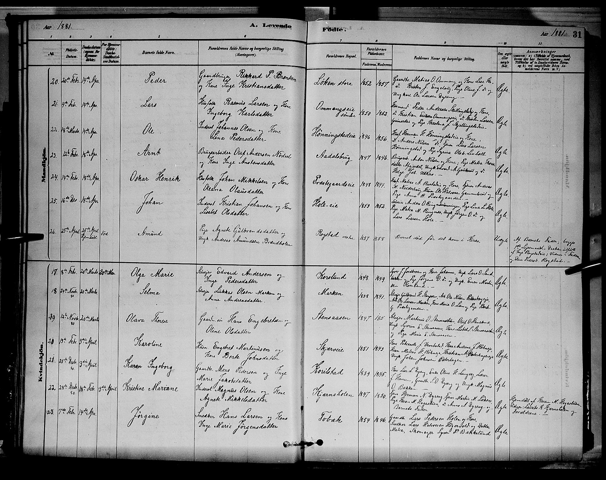 Løten prestekontor, SAH/PREST-022/L/La/L0005: Parish register (copy) no. 5, 1878-1891, p. 31