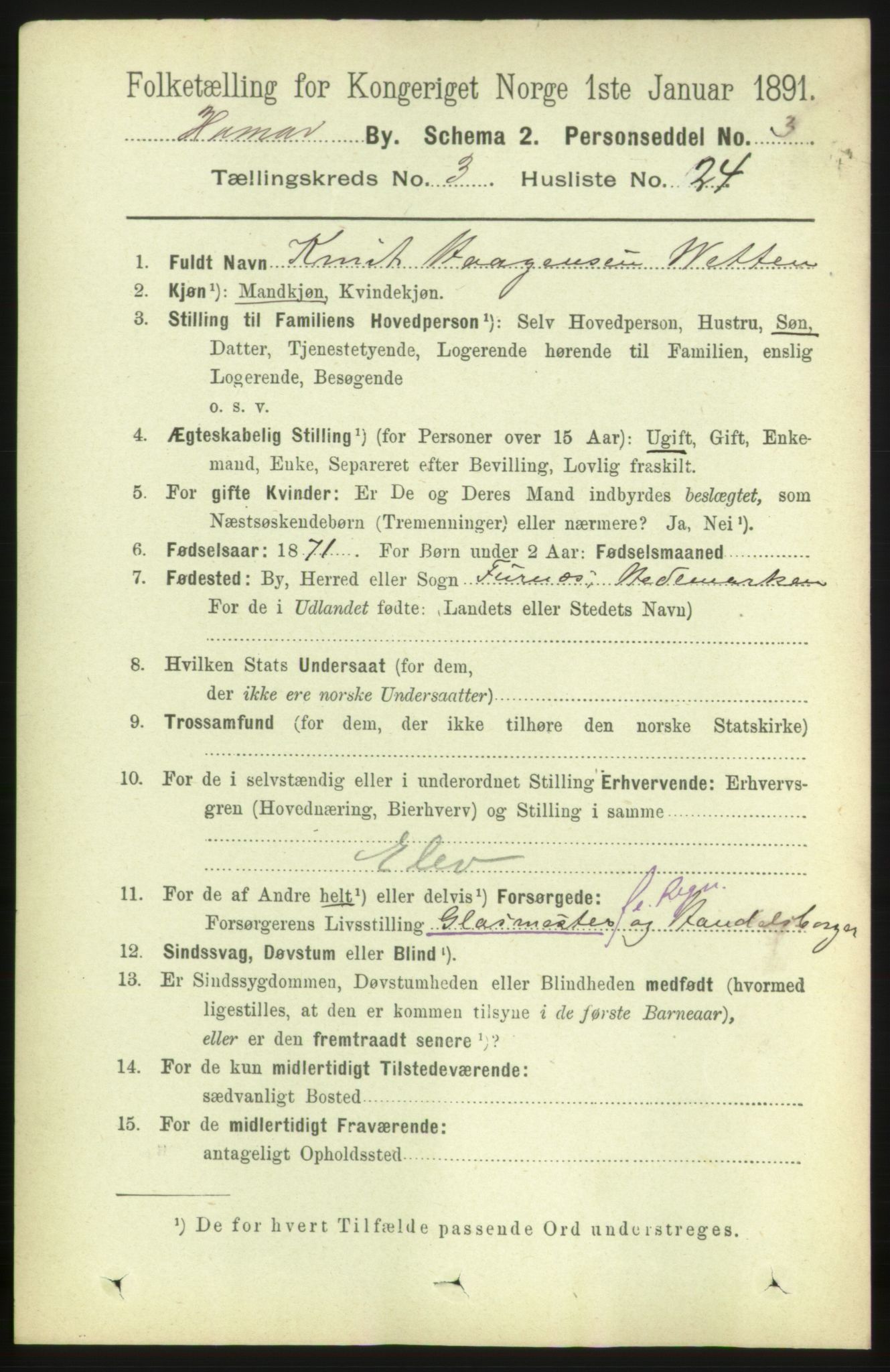 RA, 1891 census for 0401 Hamar, 1891, p. 2235