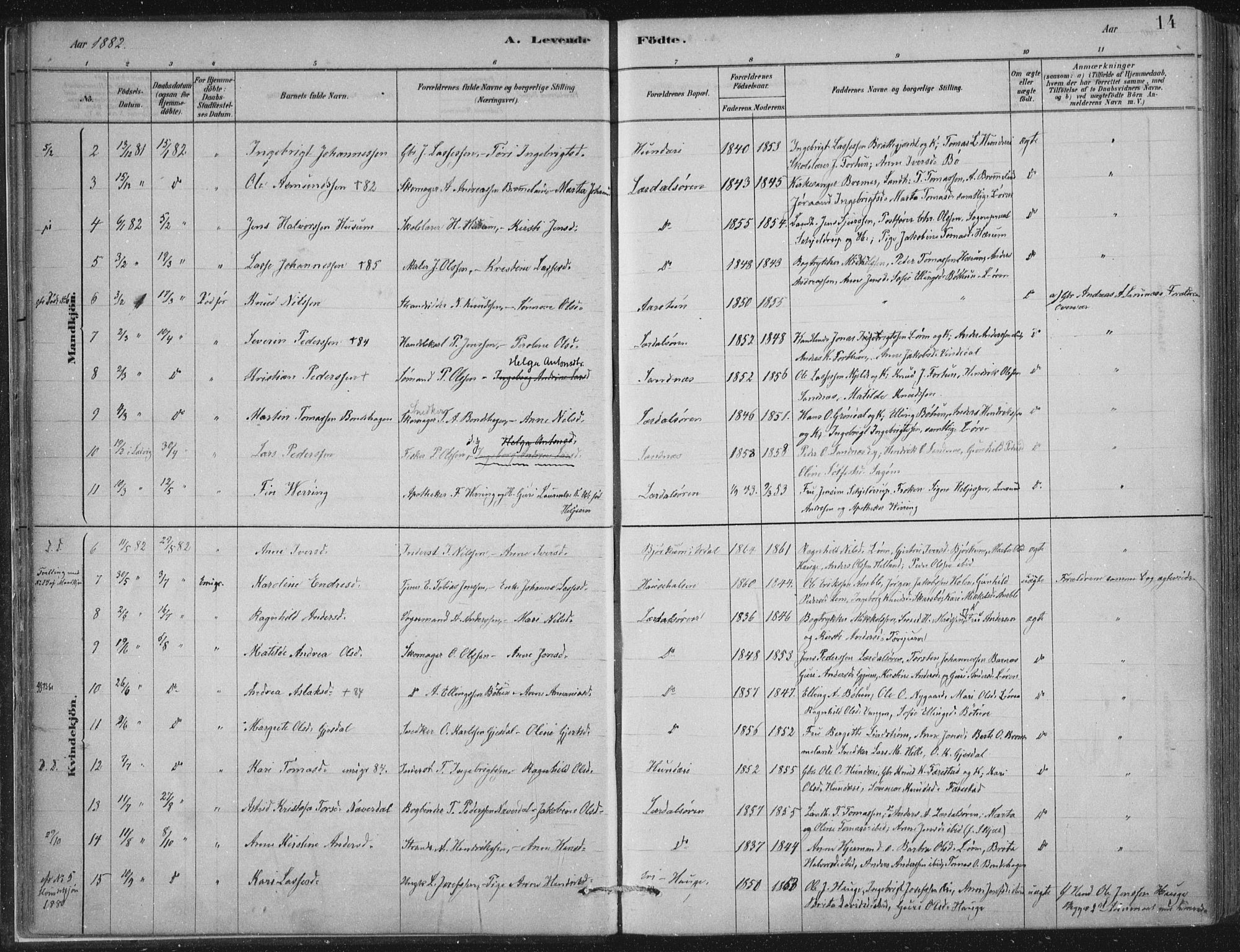 Lærdal sokneprestembete, SAB/A-81201: Parish register (official) no. D  1, 1878-1908, p. 14