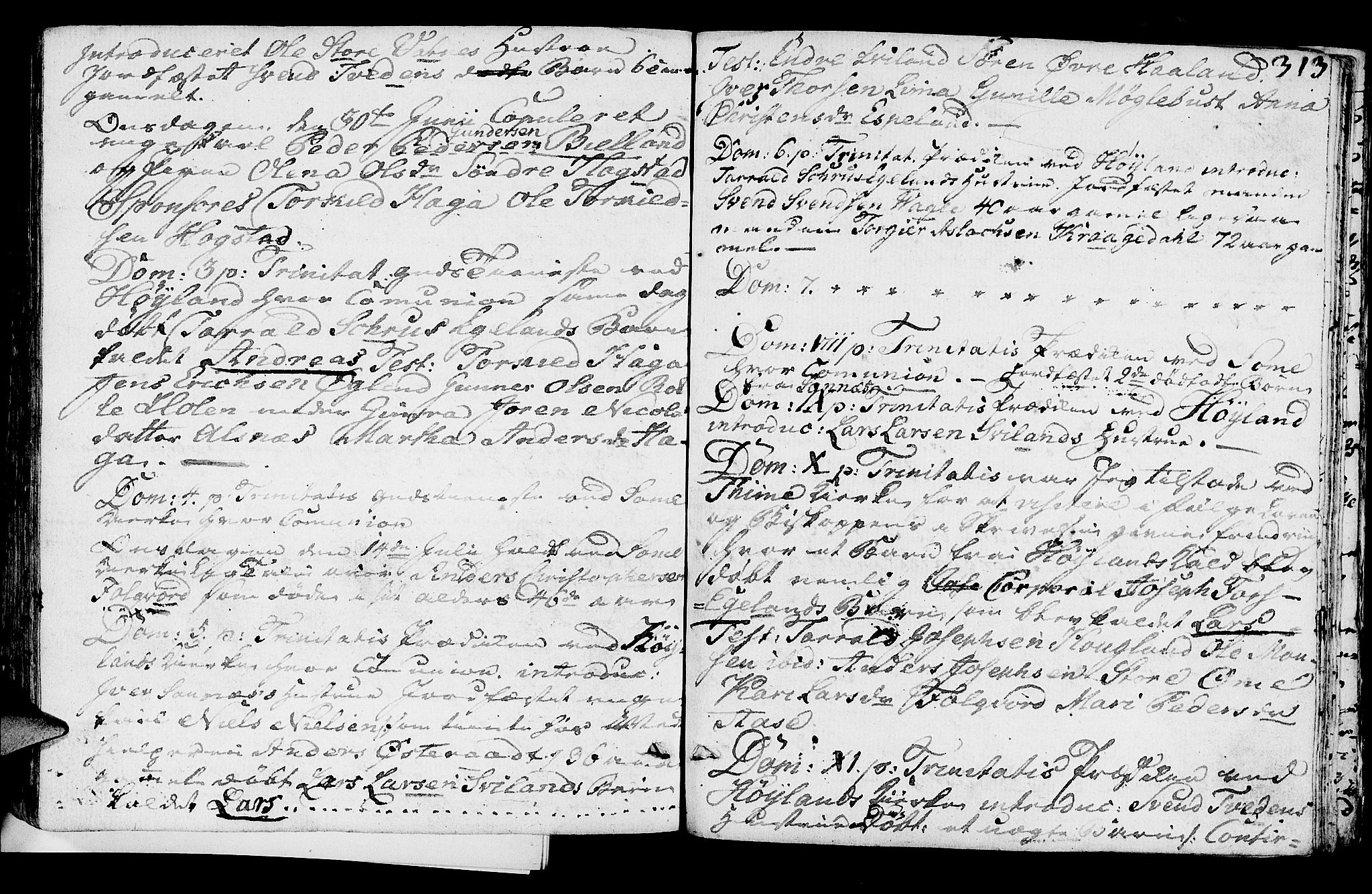 Høyland sokneprestkontor, SAST/A-101799/001/30BA/L0004: Parish register (official) no. A 4, 1784-1803, p. 313