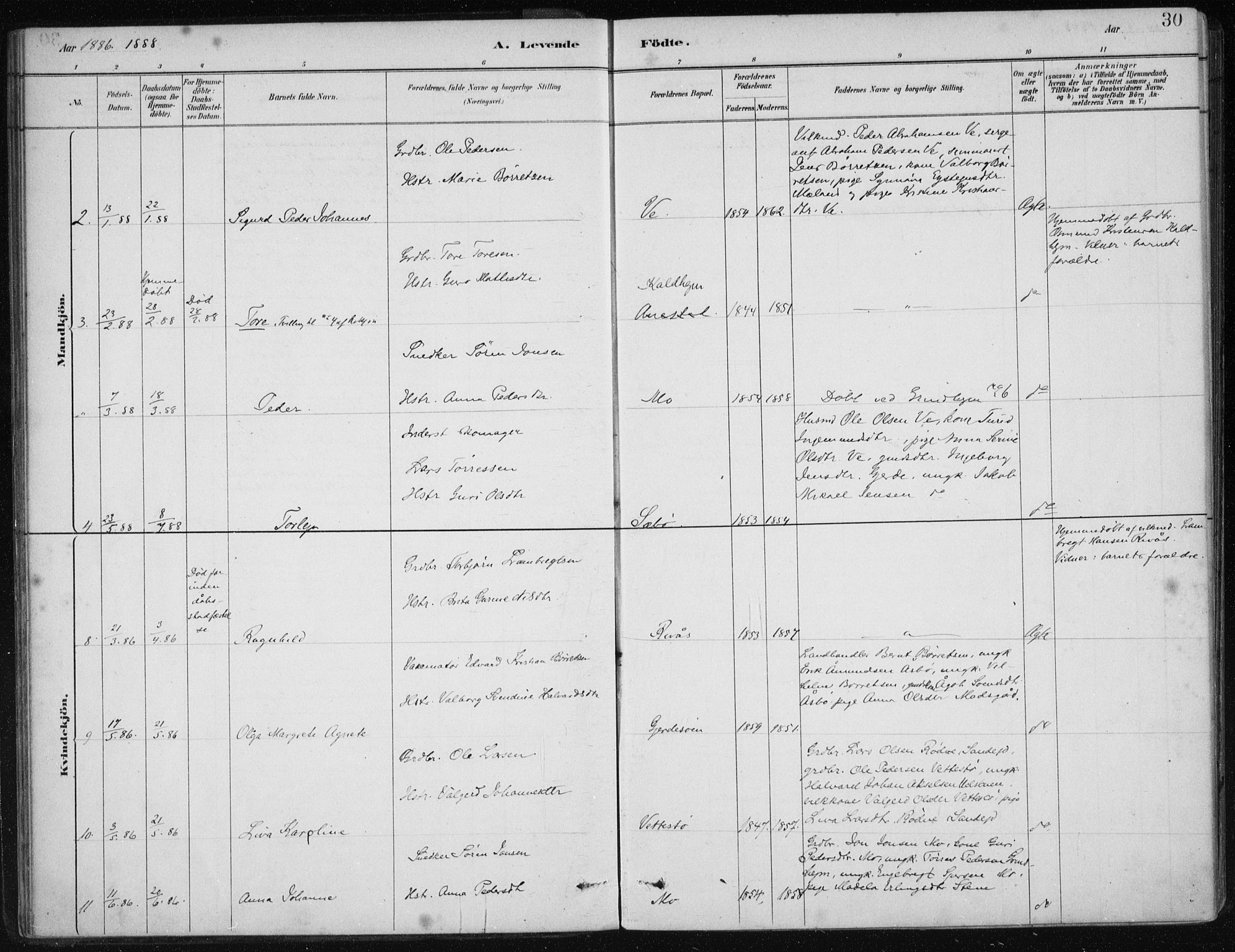 Etne sokneprestembete, AV/SAB-A-75001/H/Haa: Parish register (official) no. C  1, 1879-1919, p. 30