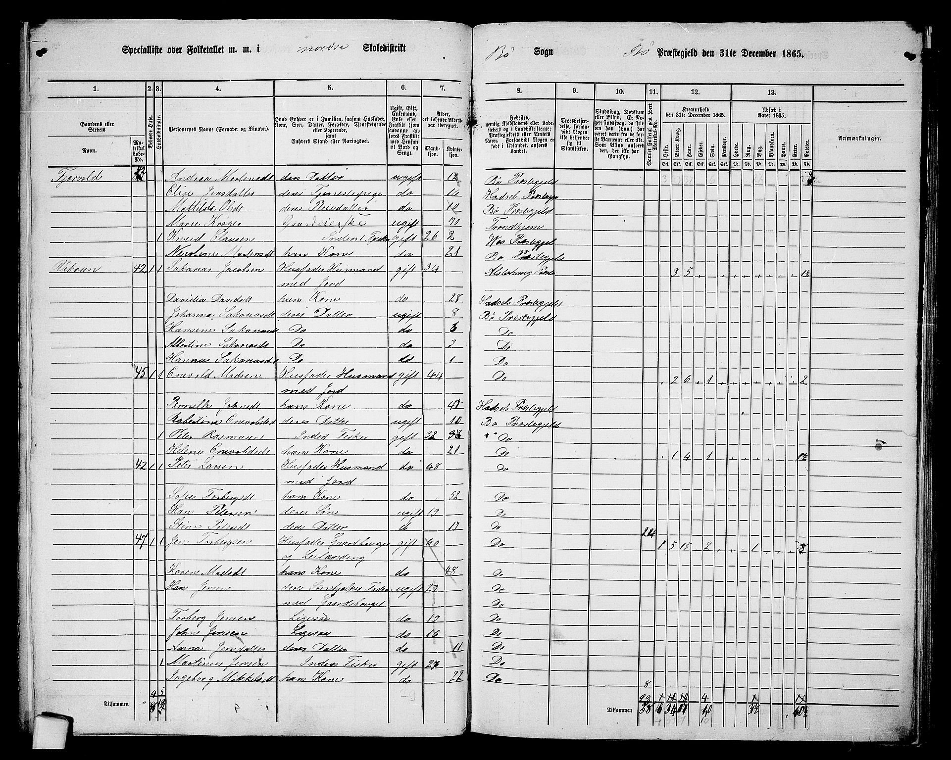 RA, 1865 census for Bø, 1865, p. 7