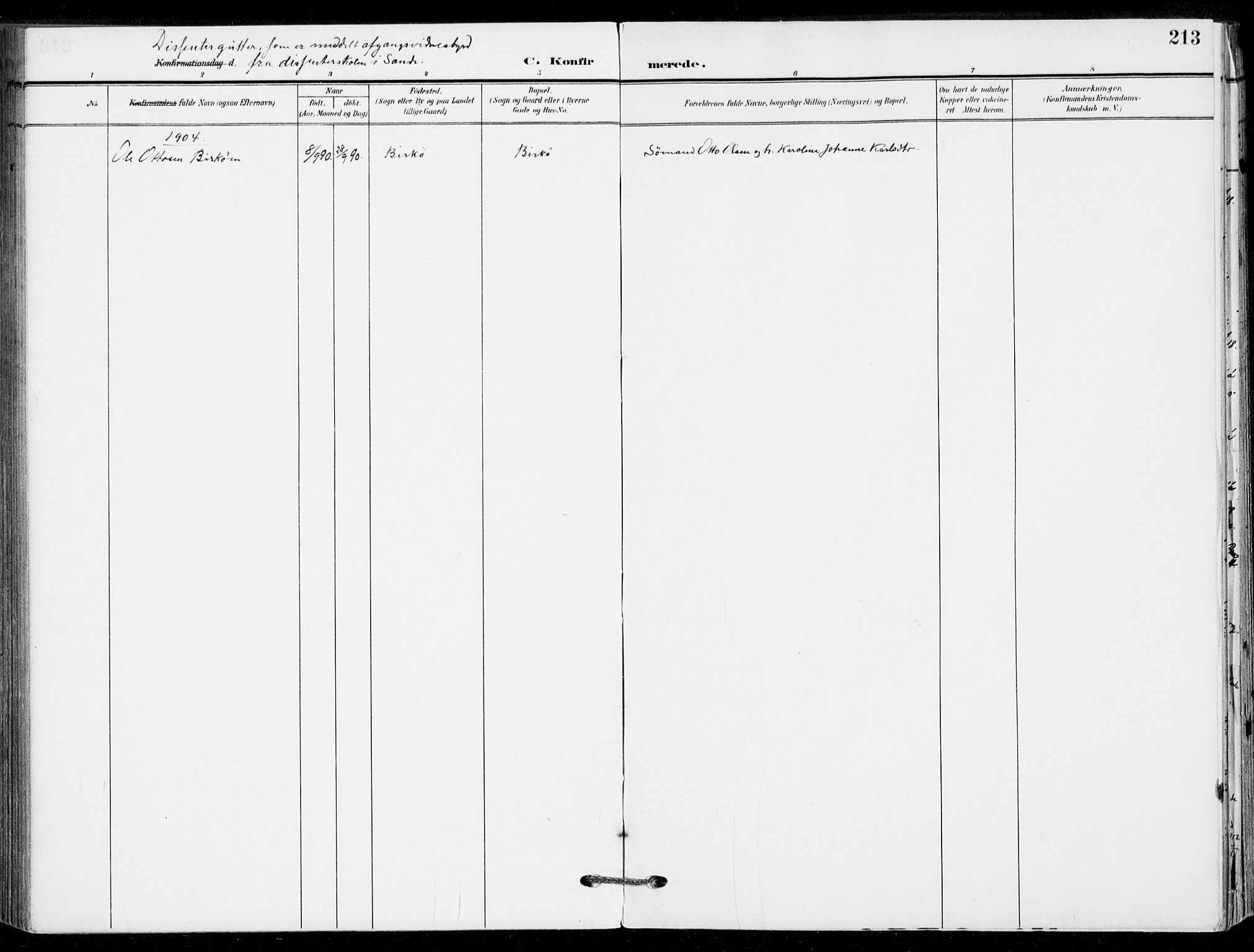 Sande Kirkebøker, SAKO/A-53/F/Fa/L0008: Parish register (official) no. 8, 1904-1921, p. 213