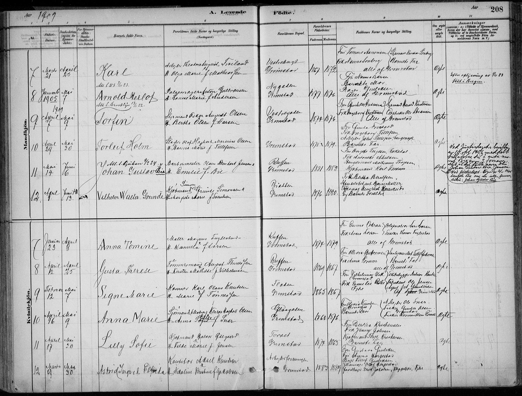 Grimstad sokneprestkontor, SAK/1111-0017/F/Fa/L0003: Parish register (official) no. A 2, 1882-1912, p. 208