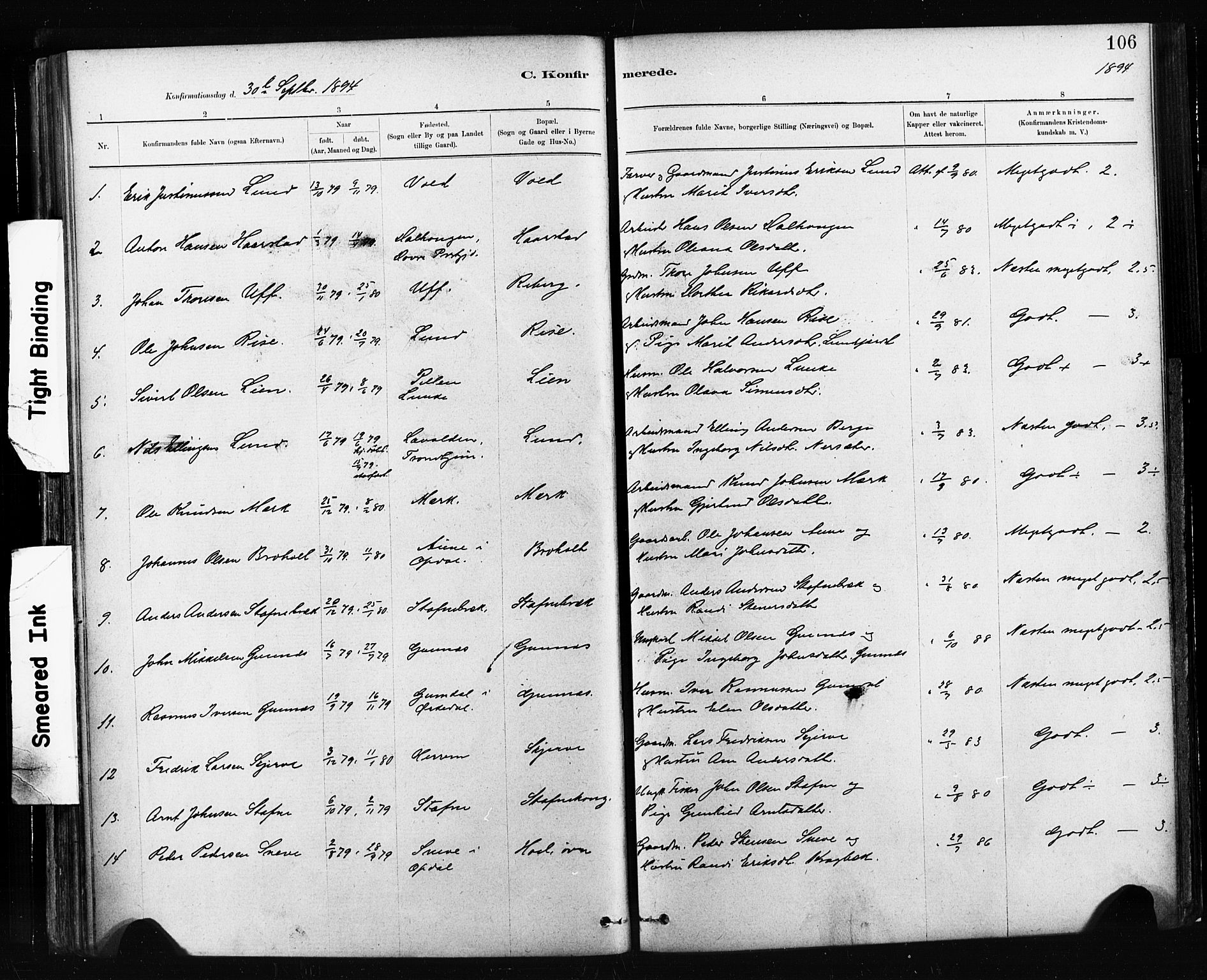 Ministerialprotokoller, klokkerbøker og fødselsregistre - Sør-Trøndelag, SAT/A-1456/674/L0871: Parish register (official) no. 674A03, 1880-1896, p. 106
