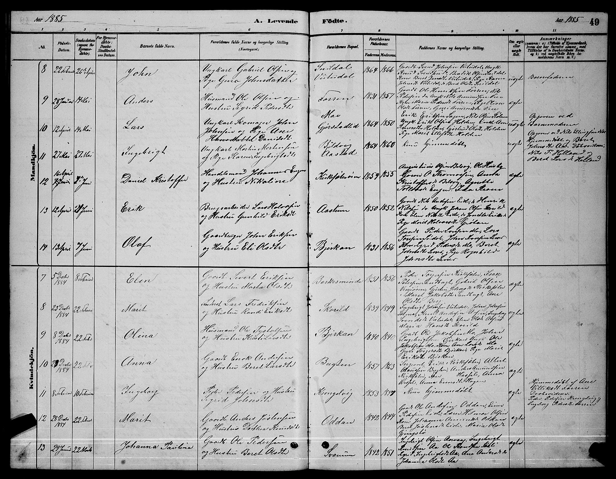 Ministerialprotokoller, klokkerbøker og fødselsregistre - Sør-Trøndelag, SAT/A-1456/630/L0504: Parish register (copy) no. 630C02, 1879-1898, p. 49