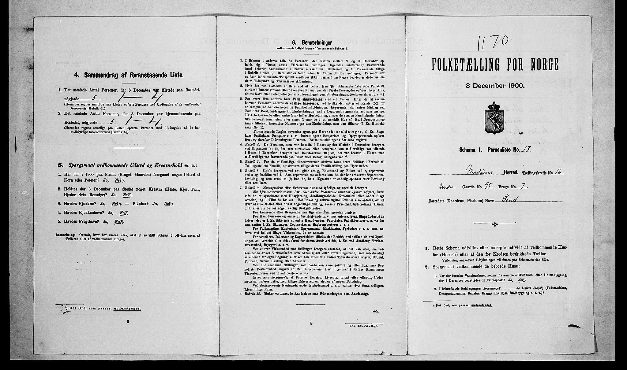 RA, 1900 census for Modum, 1900, p. 1981