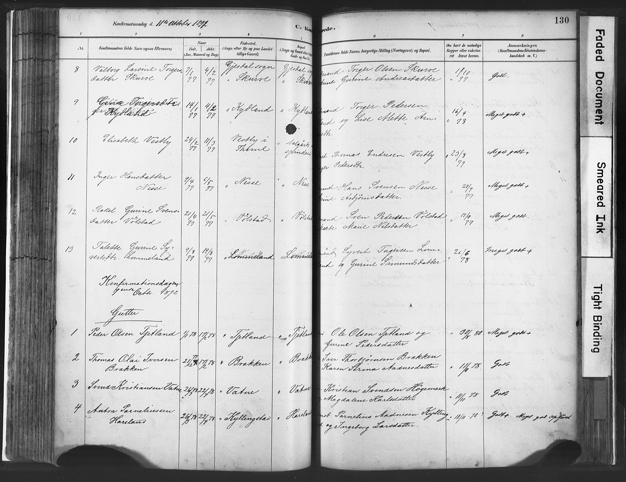Lye sokneprestkontor, SAST/A-101794/001/30BA/L0010: Parish register (official) no. A 10, 1881-1896, p. 130