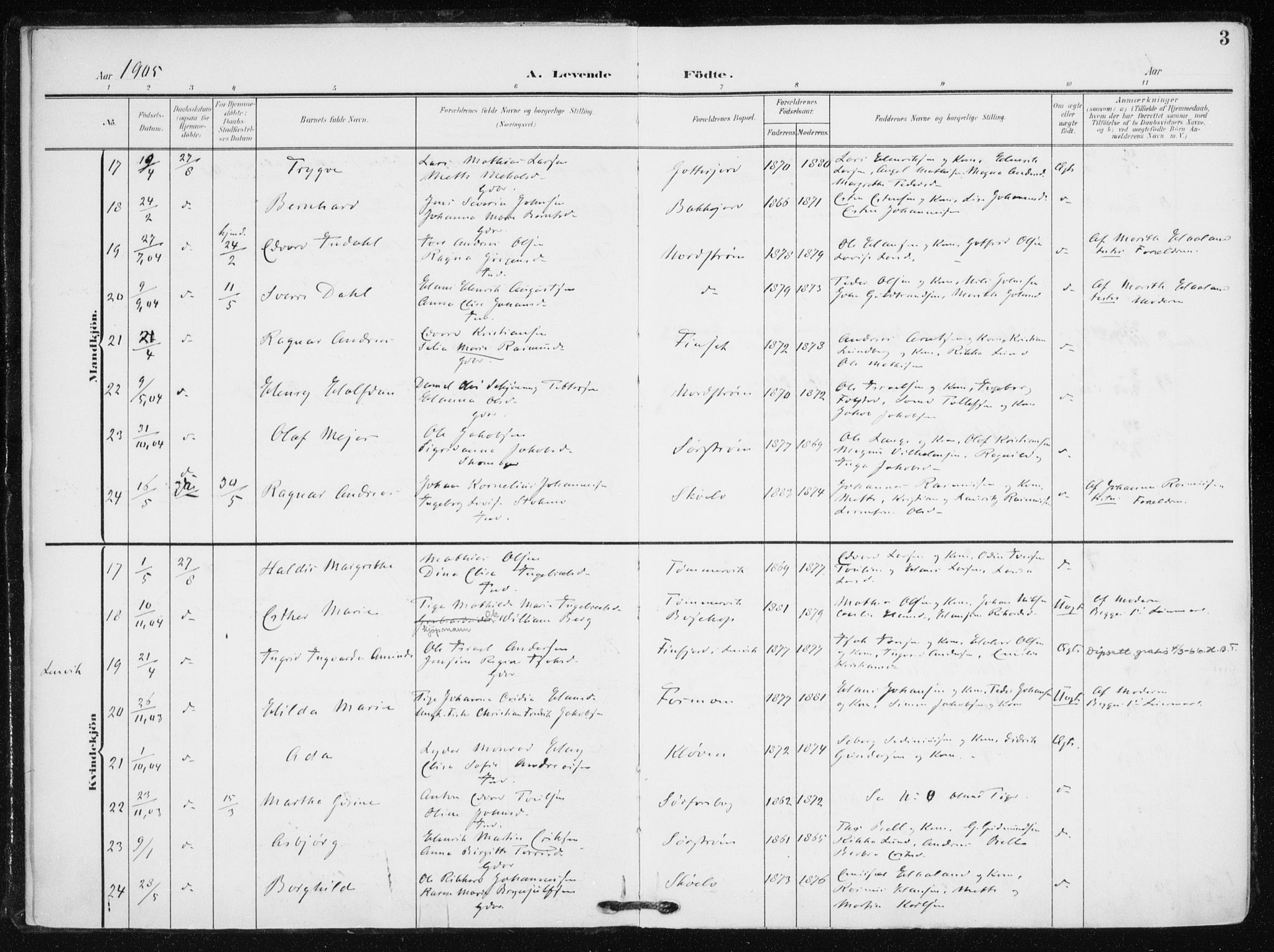 Tranøy sokneprestkontor, SATØ/S-1313/I/Ia/Iaa/L0012kirke: Parish register (official) no. 12, 1905-1918, p. 3