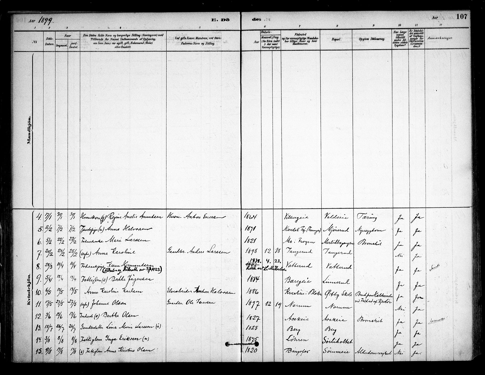 Sørum prestekontor Kirkebøker, SAO/A-10303/F/Fa/L0008: Parish register (official) no. I 8, 1878-1914, p. 107
