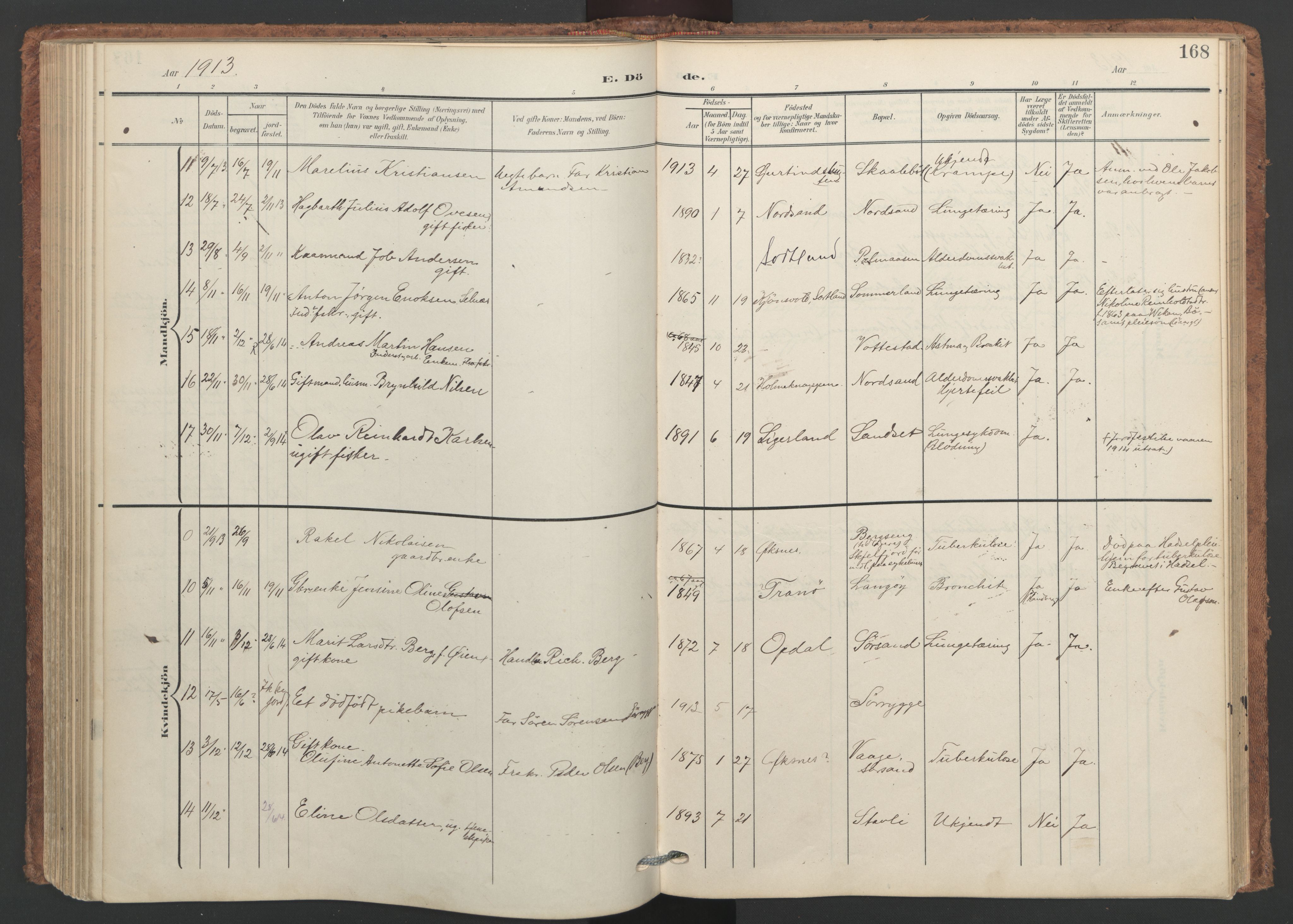 Ministerialprotokoller, klokkerbøker og fødselsregistre - Nordland, SAT/A-1459/893/L1339: Parish register (official) no. 893A11, 1904-1914, p. 168
