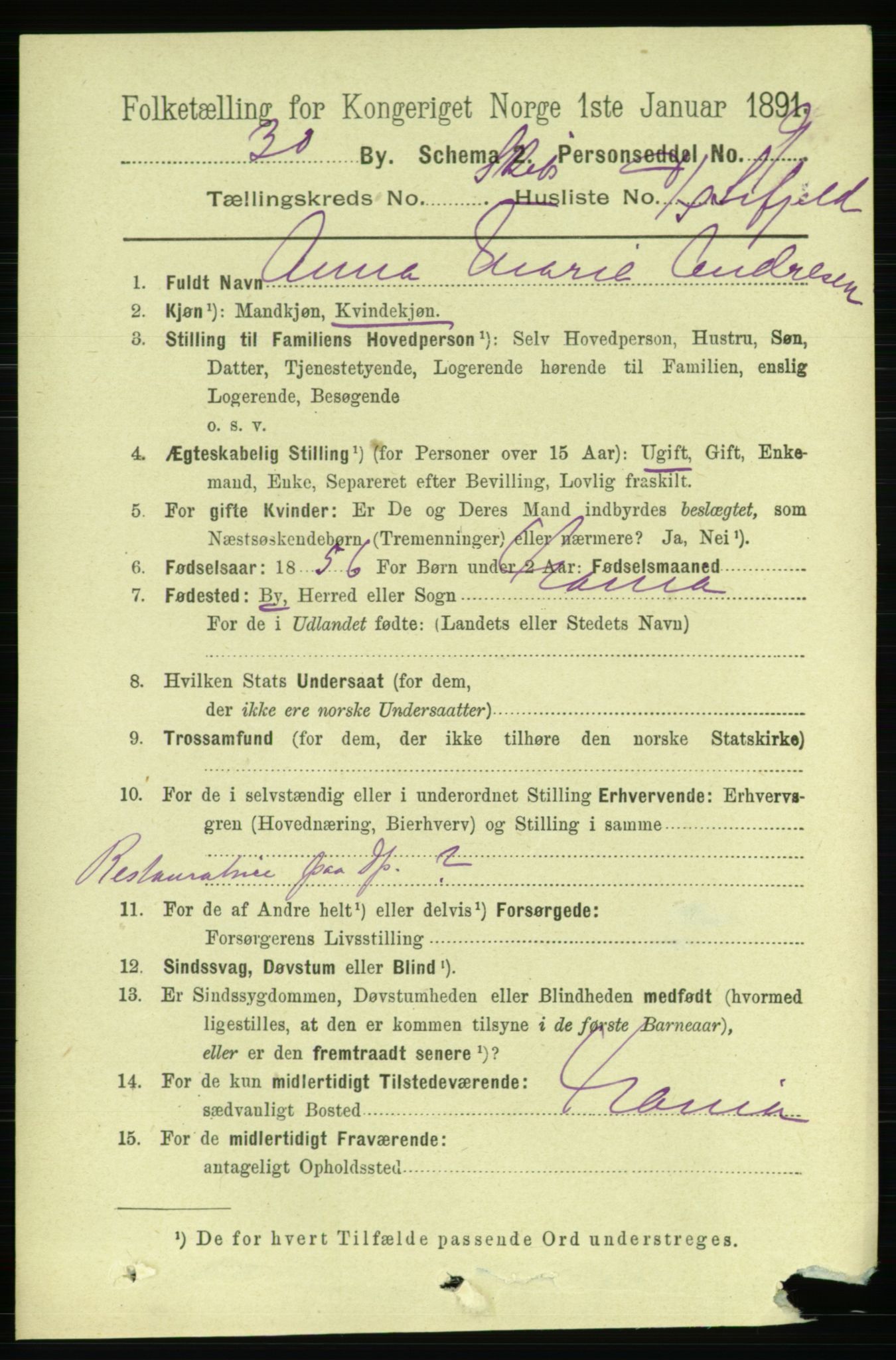 RA, 1891 census for 0806 Skien, 1891, p. 11518