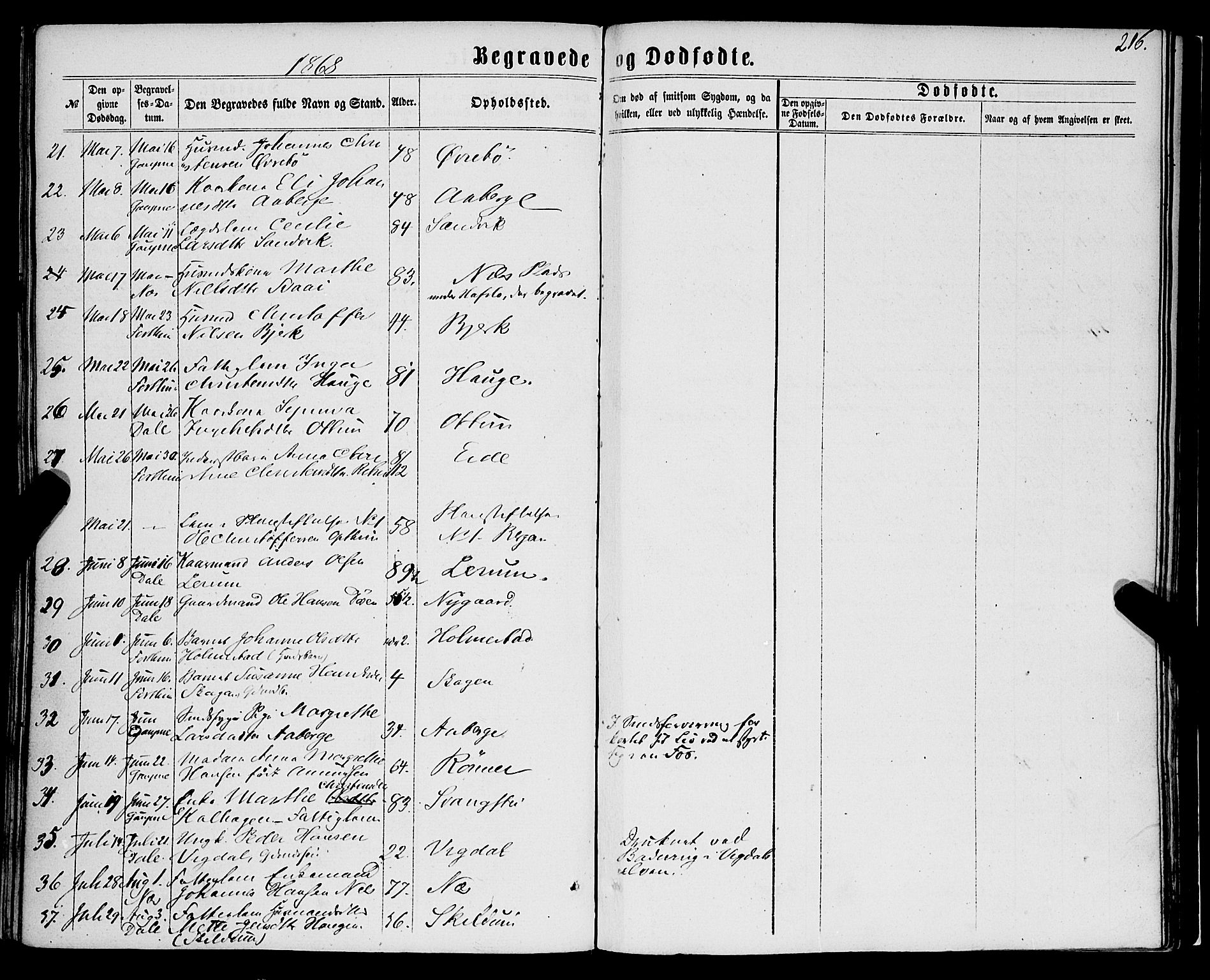 Luster sokneprestembete, AV/SAB-A-81101/H/Haa/Haaa/L0008: Parish register (official) no. A 8, 1860-1870, p. 216