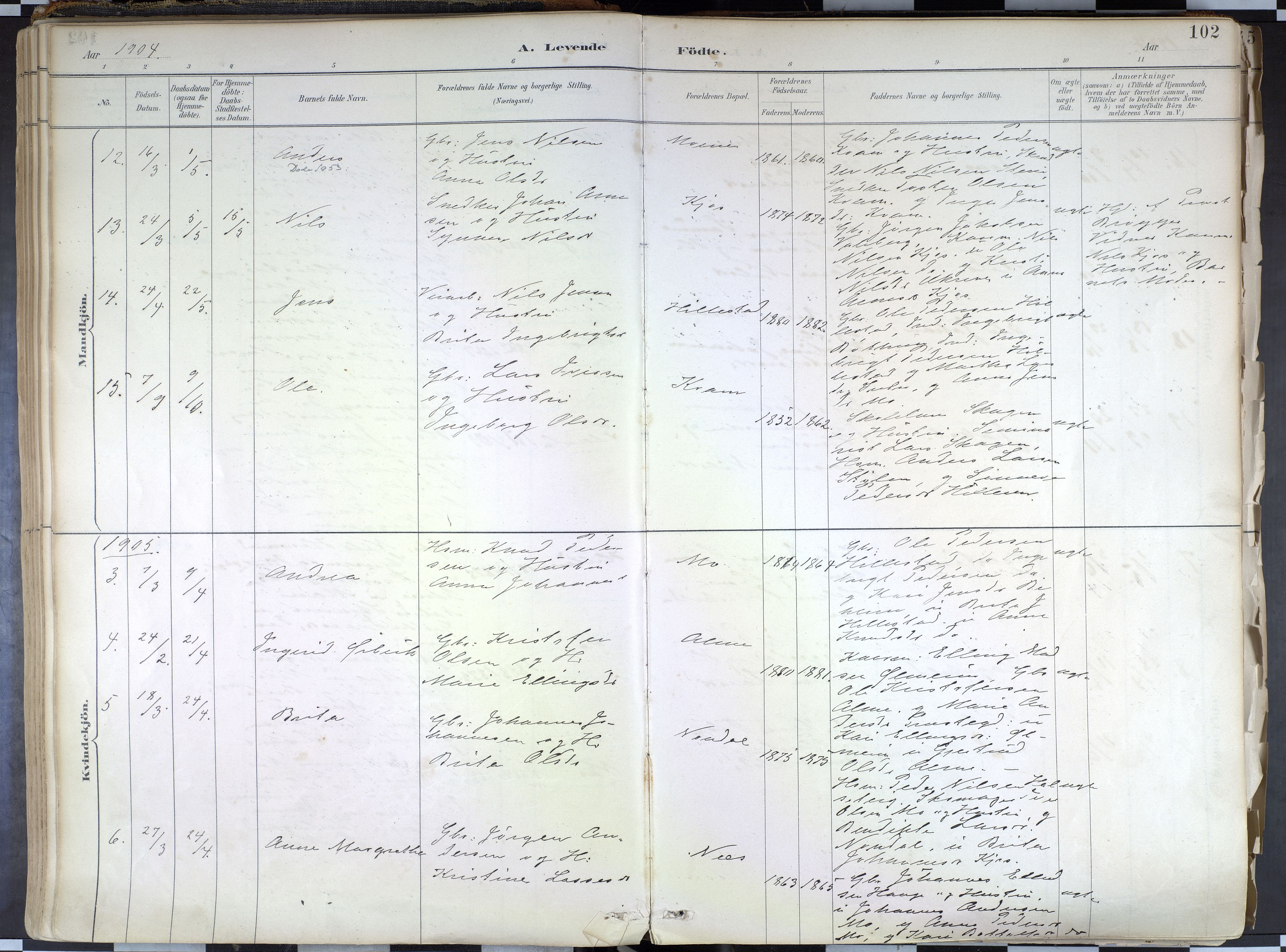 Hafslo sokneprestembete, AV/SAB-A-80301/H/Haa/Haab/L0001: Parish register (official) no. B 1, 1886-1945, p. 102