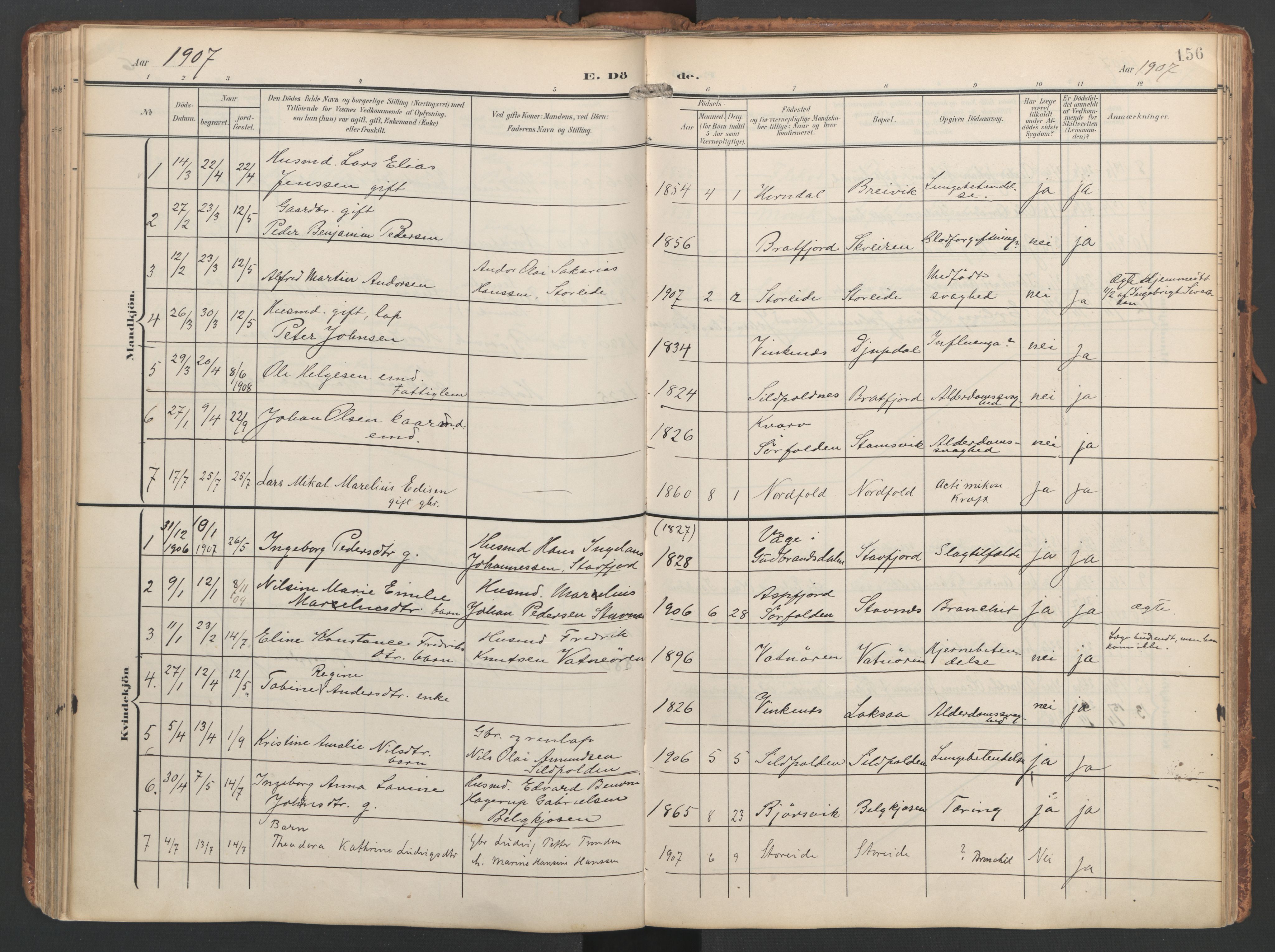 Ministerialprotokoller, klokkerbøker og fødselsregistre - Nordland, AV/SAT-A-1459/858/L0832: Parish register (official) no. 858A02, 1902-1915, p. 156