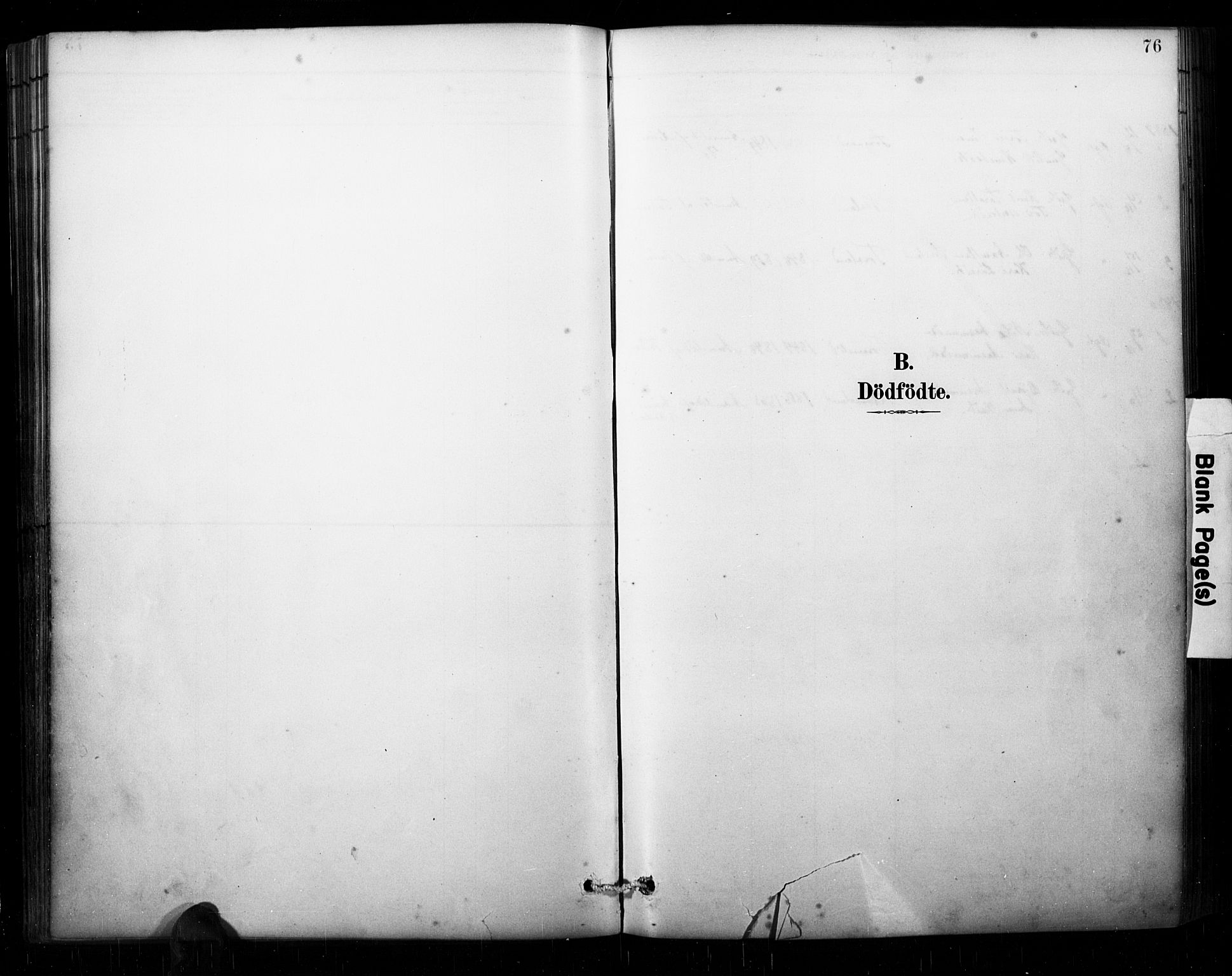 Åseral sokneprestkontor, SAK/1111-0051/F/Fa/L0003: Parish register (official) no. A 3, 1884-1901, p. 76