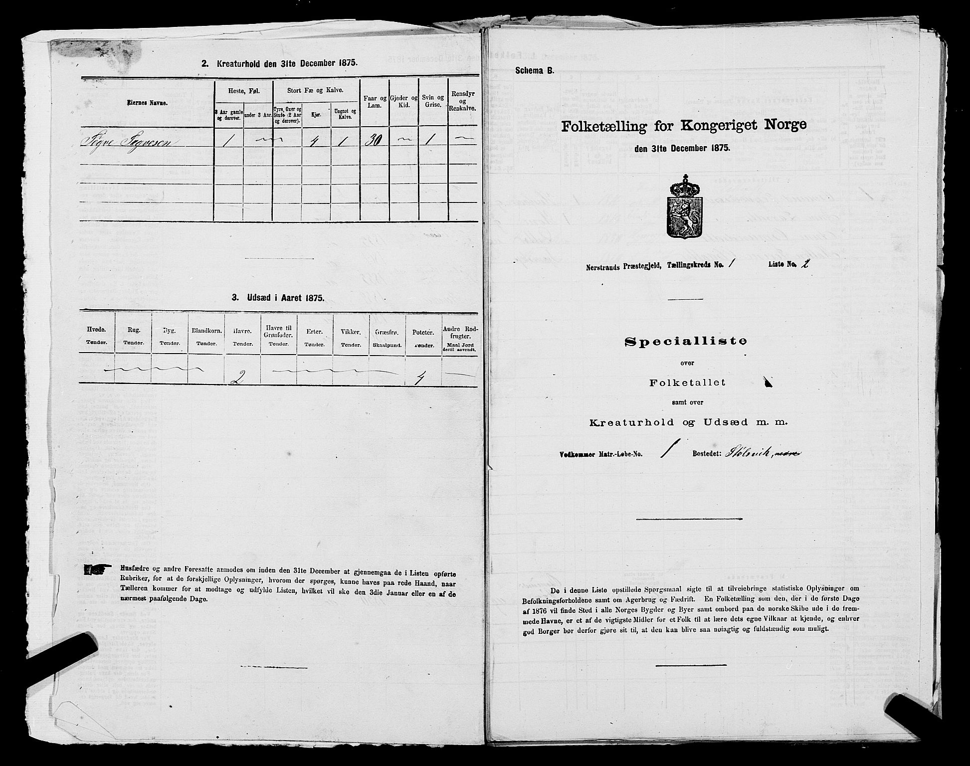 SAST, 1875 census for 1139P Nedstrand, 1875, p. 48