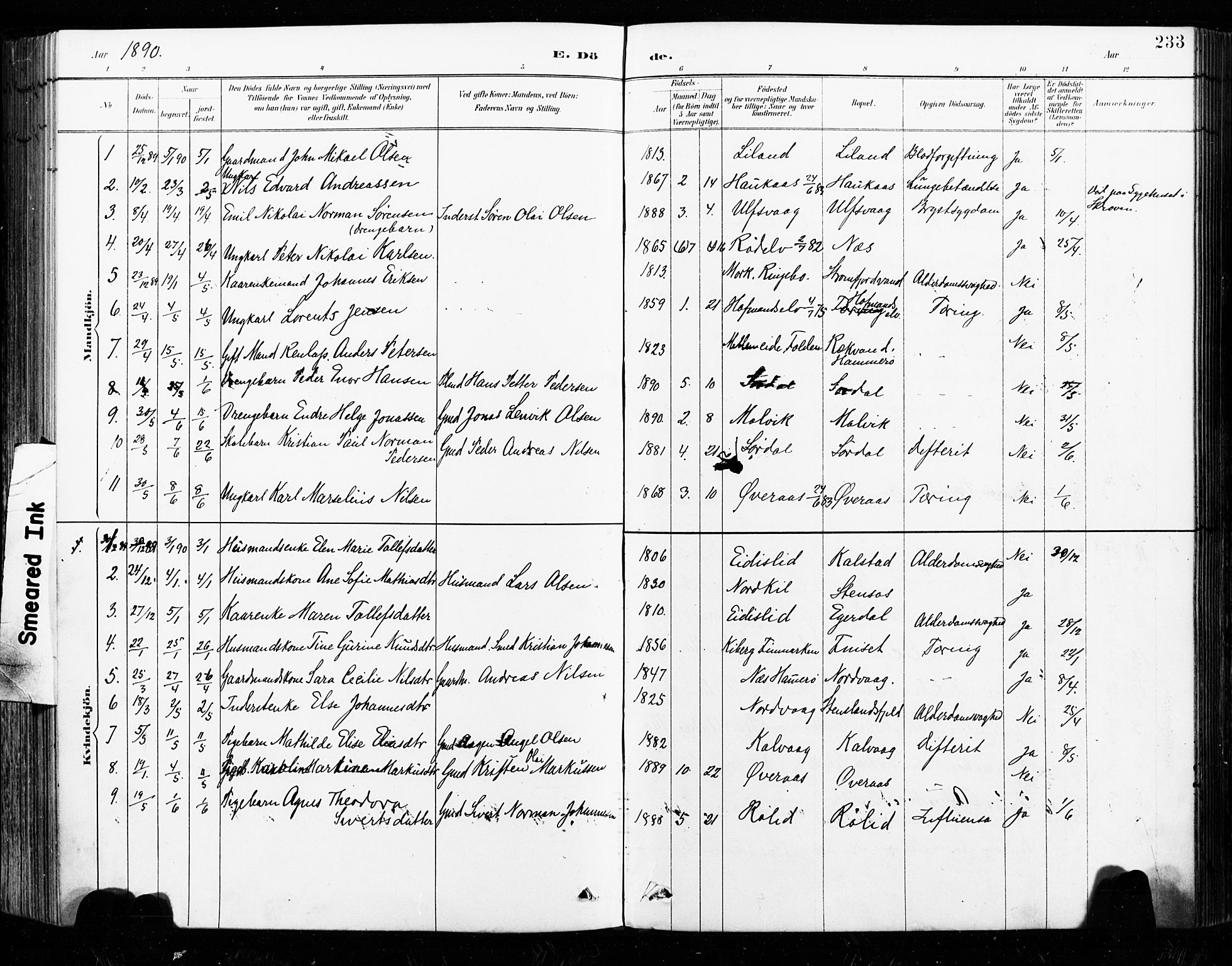 Ministerialprotokoller, klokkerbøker og fødselsregistre - Nordland, SAT/A-1459/859/L0847: Parish register (official) no. 859A07, 1890-1899, p. 233