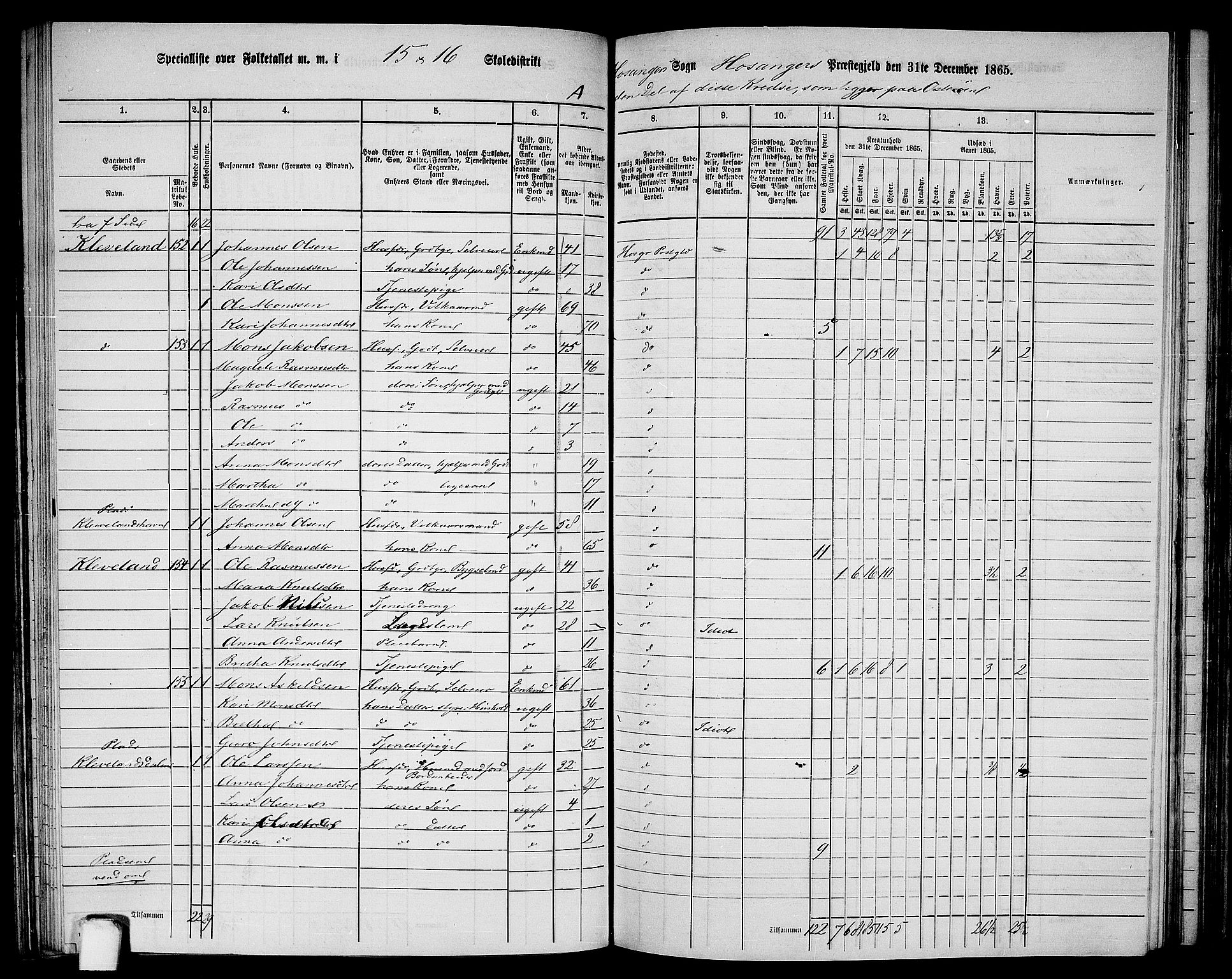 RA, 1865 census for Hosanger, 1865, p. 94