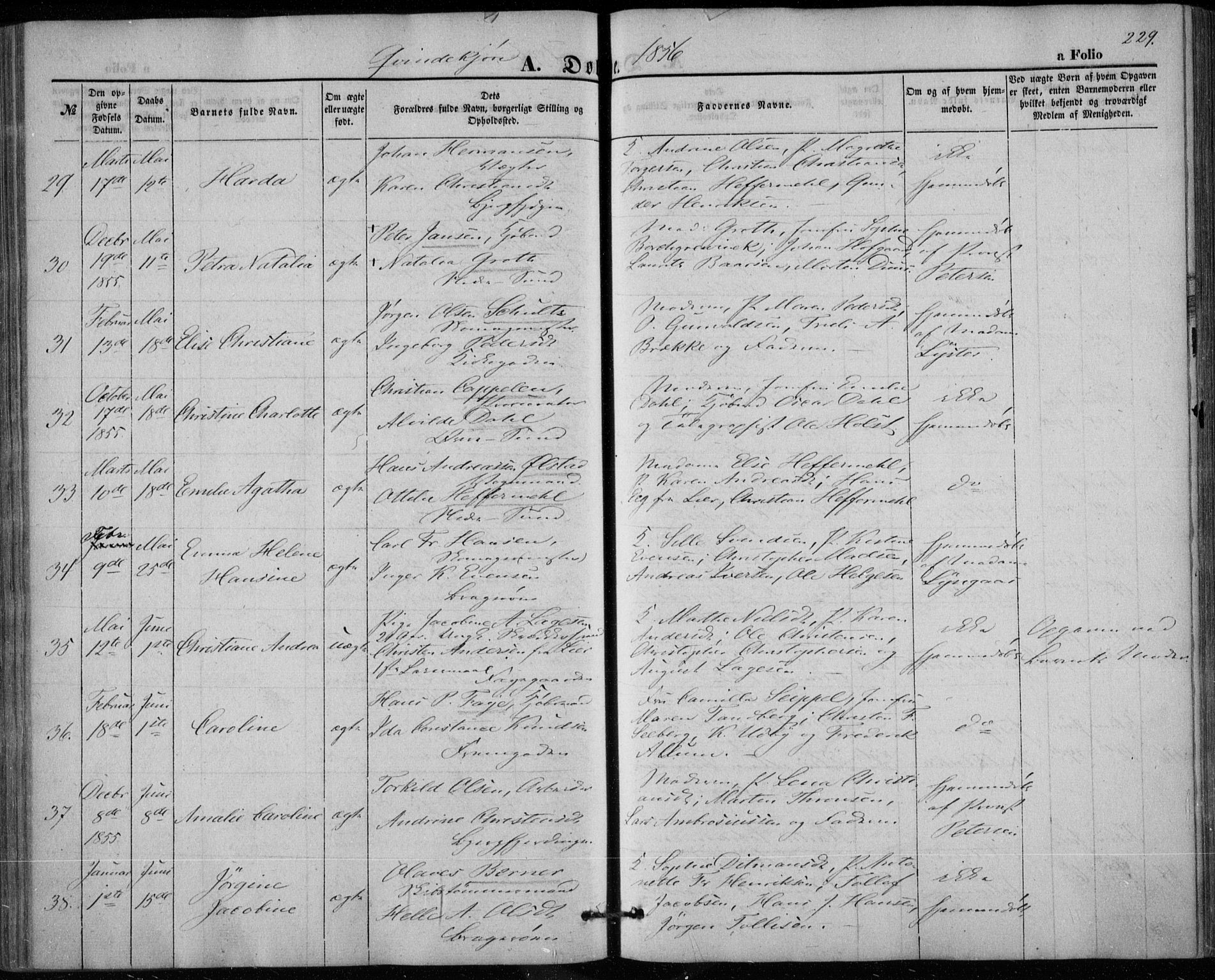Bragernes kirkebøker, SAKO/A-6/F/Fb/L0002: Parish register (official) no. II 2, 1848-1859, p. 229