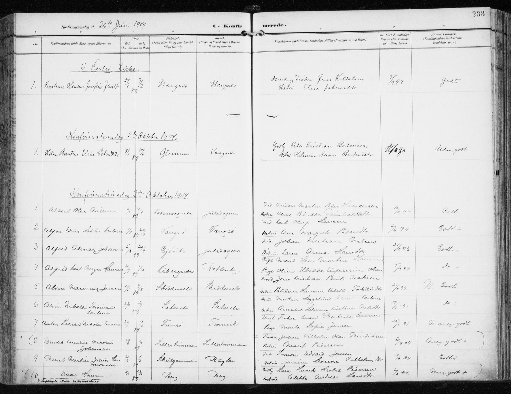 Tromsøysund sokneprestkontor, AV/SATØ-S-1304/G/Ga/L0006kirke: Parish register (official) no. 6, 1897-1906, p. 233