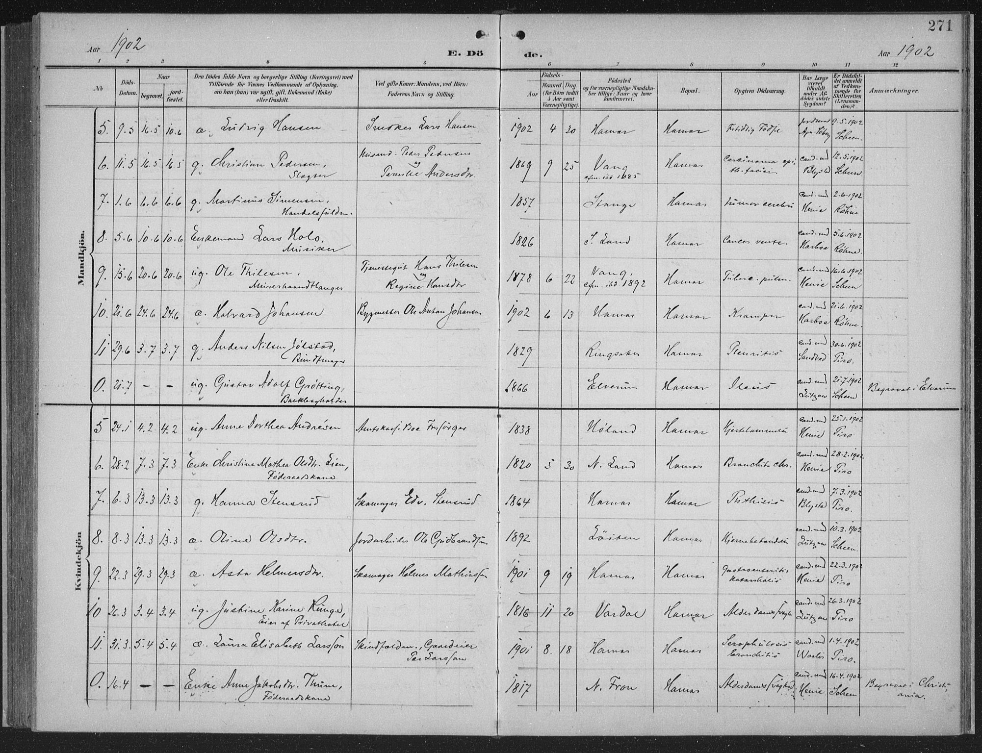 Hamar prestekontor, AV/SAH-DOMPH-002/H/Ha/Haa/L0001: Parish register (official) no. 1, 1900-1914, p. 271