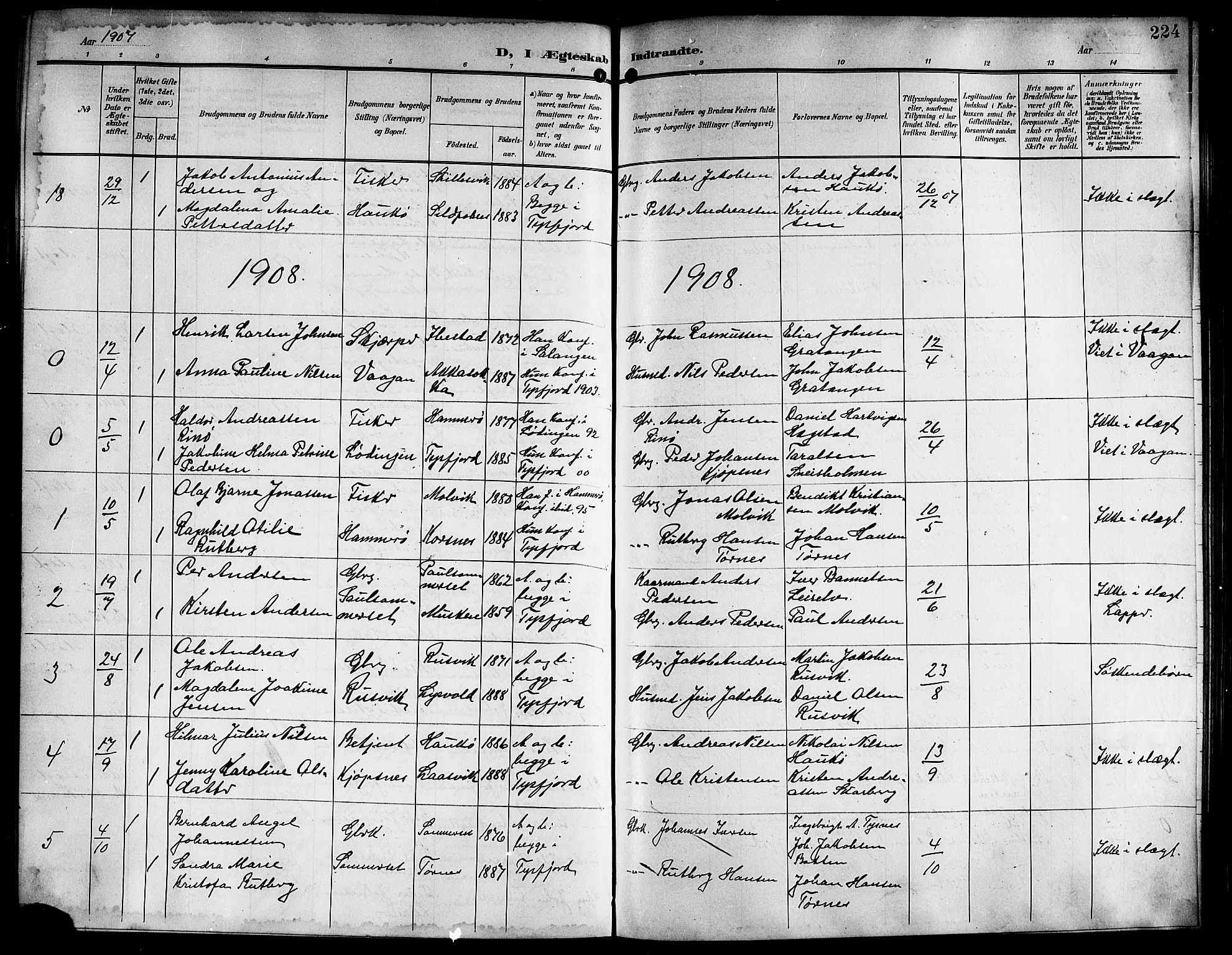 Ministerialprotokoller, klokkerbøker og fødselsregistre - Nordland, AV/SAT-A-1459/861/L0877: Parish register (copy) no. 861C03, 1903-1919, p. 224