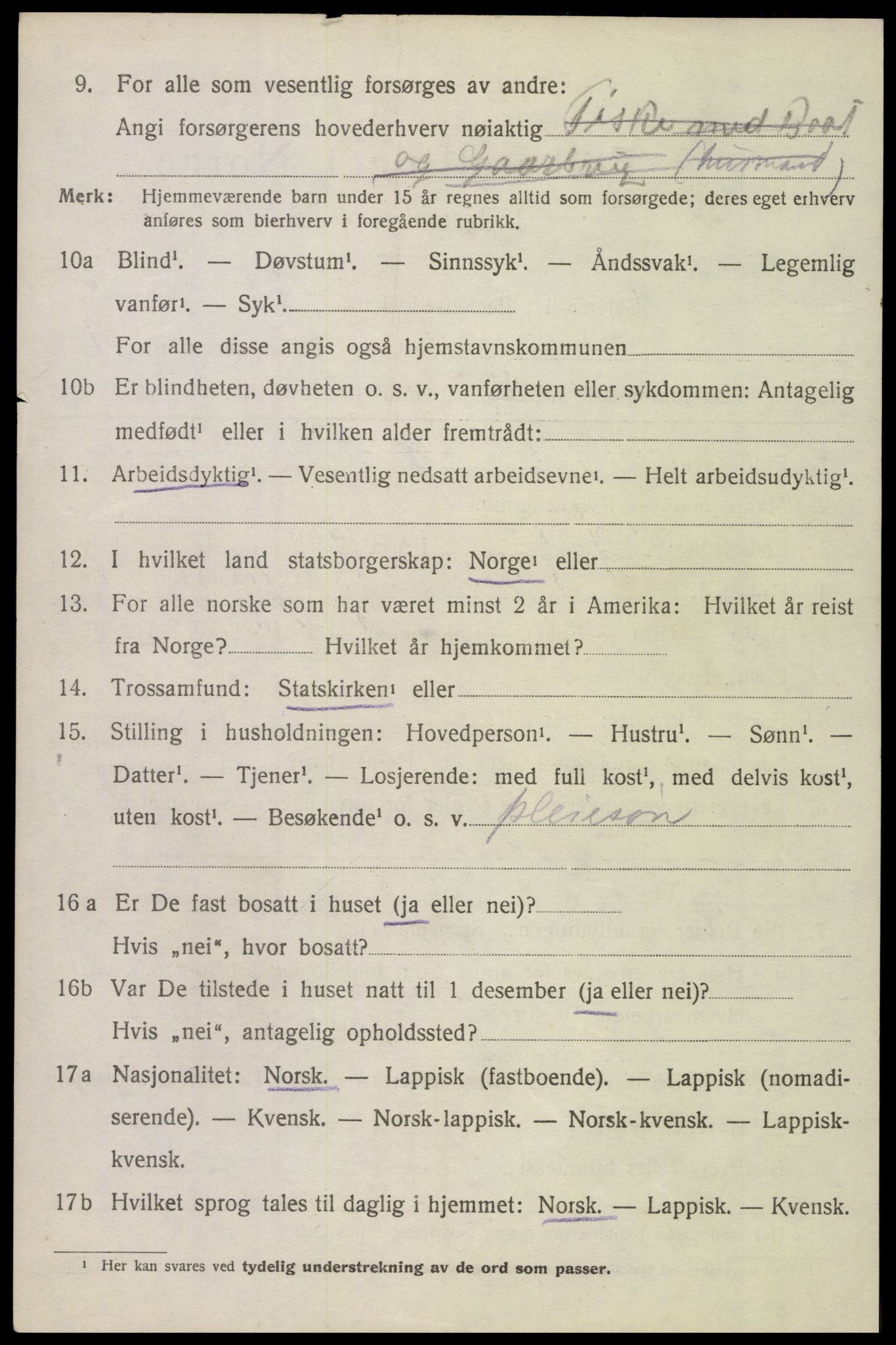 SAT, 1920 census for Hadsel, 1920, p. 19915