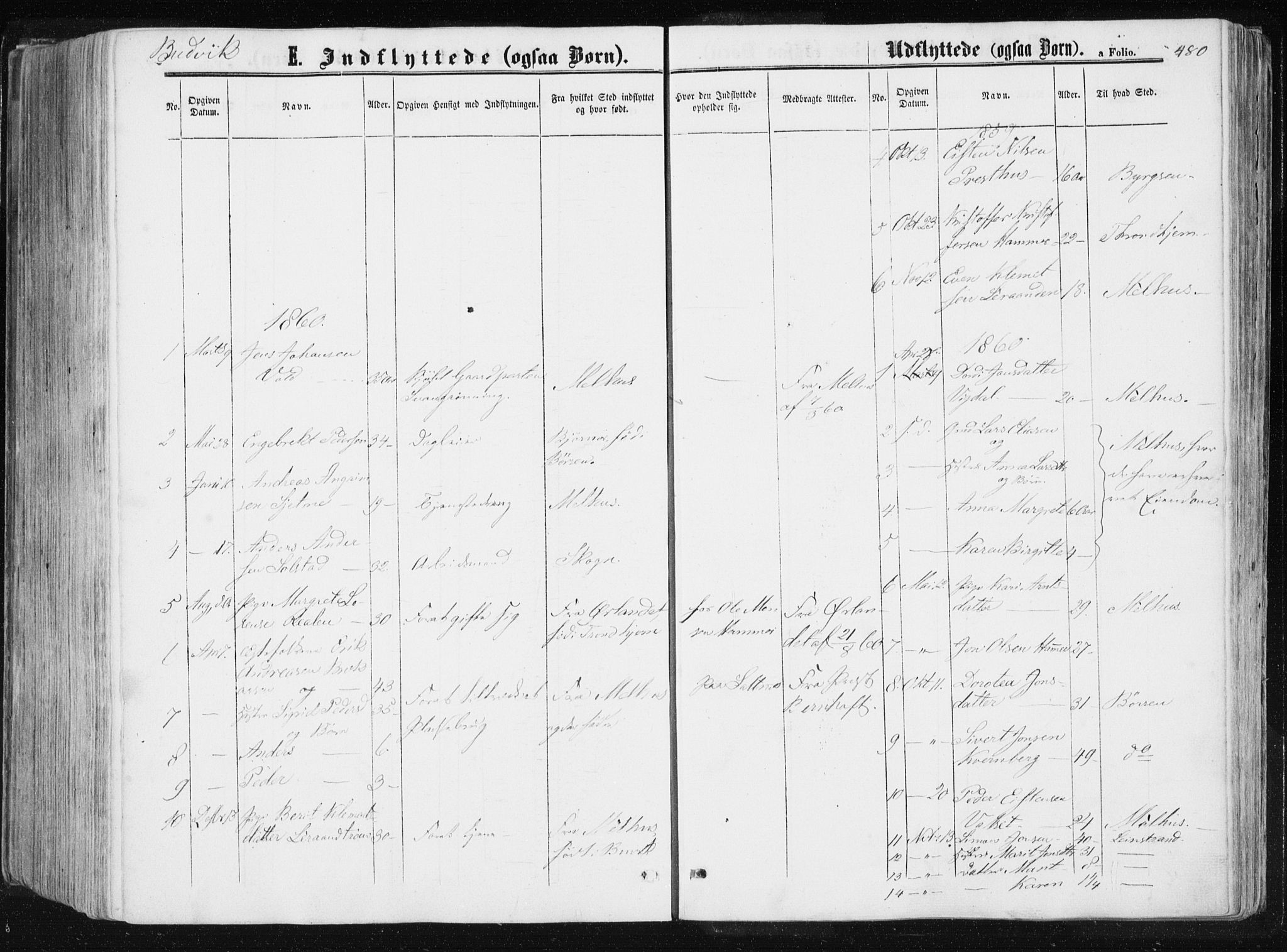 Ministerialprotokoller, klokkerbøker og fødselsregistre - Sør-Trøndelag, SAT/A-1456/612/L0377: Parish register (official) no. 612A09, 1859-1877, p. 480