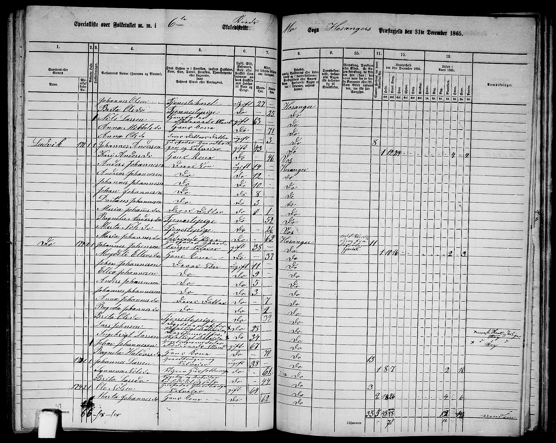 RA, 1865 census for Hosanger, 1865, p. 143