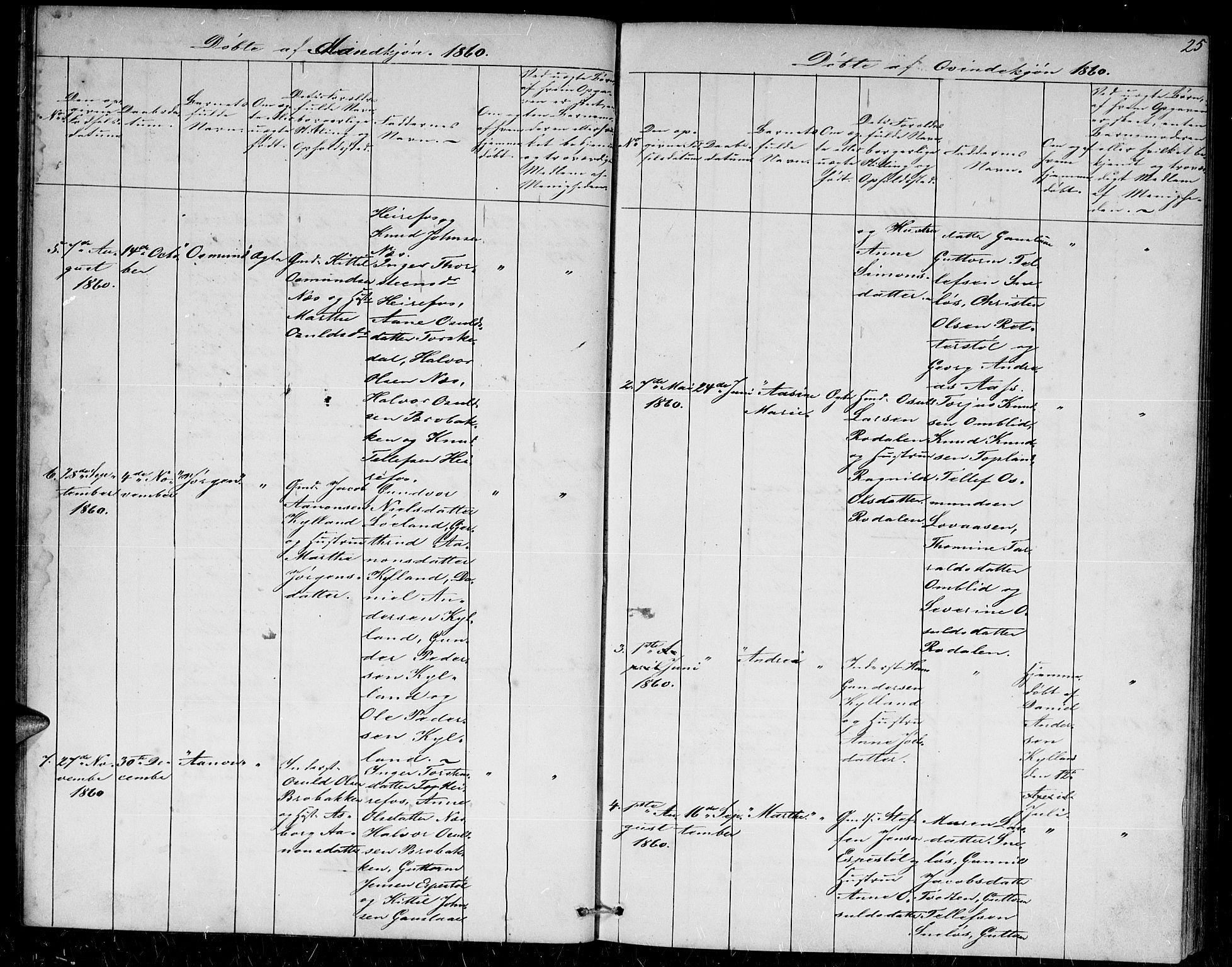 Herefoss sokneprestkontor, AV/SAK-1111-0019/F/Fb/Fba/L0001: Parish register (copy) no. B 1, 1851-1868, p. 25