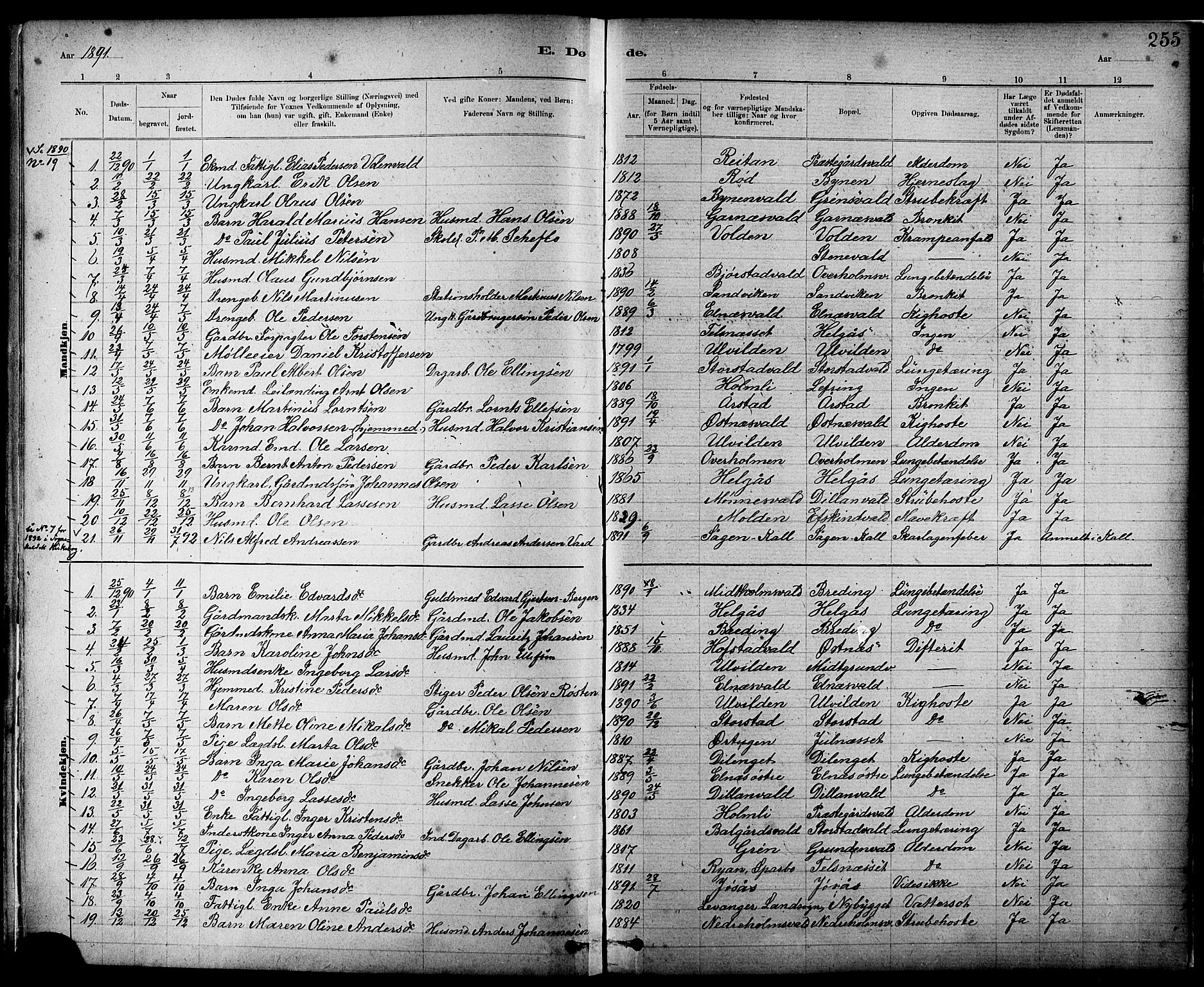 Ministerialprotokoller, klokkerbøker og fødselsregistre - Nord-Trøndelag, SAT/A-1458/724/L0267: Parish register (copy) no. 724C03, 1879-1898, p. 255