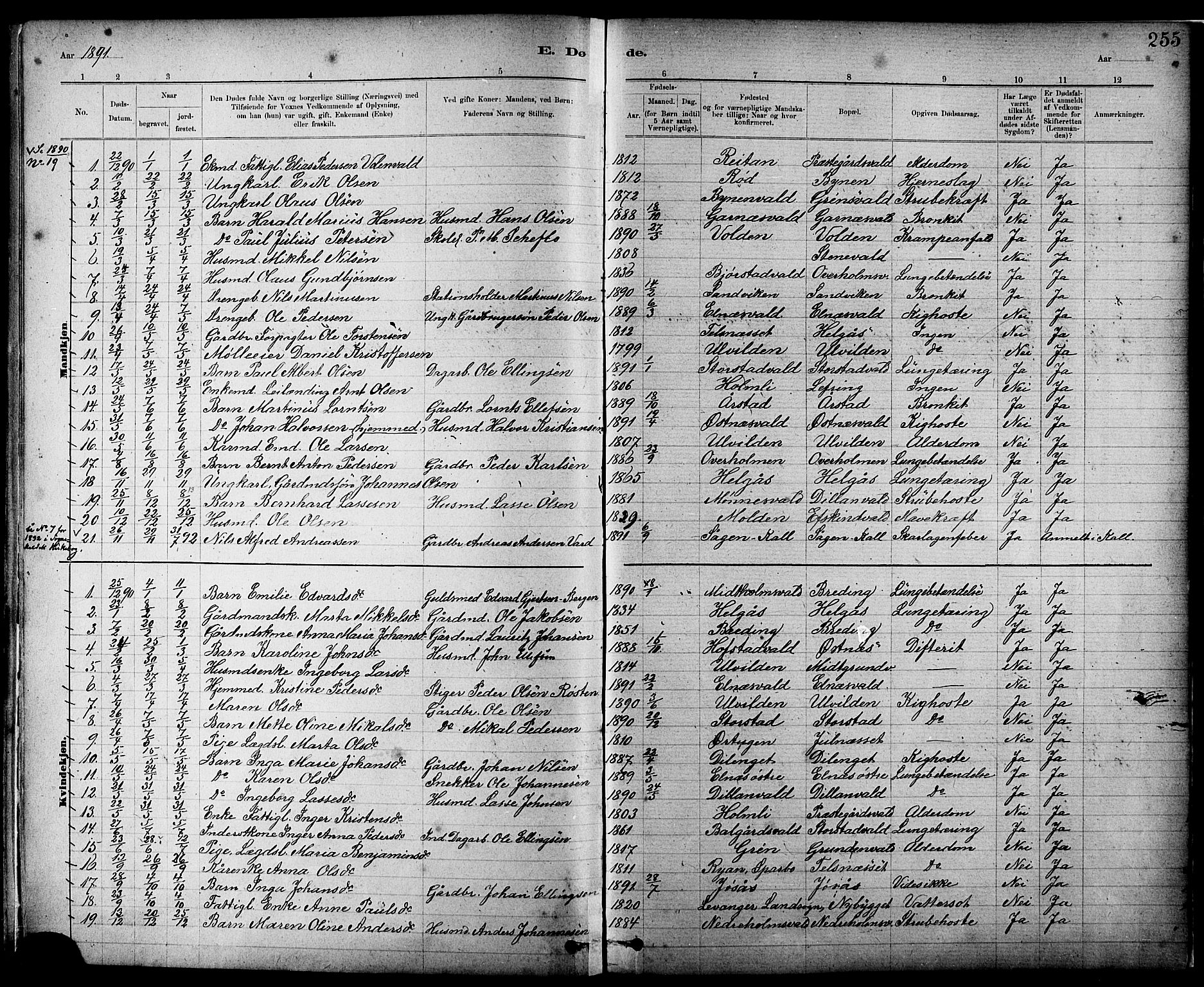 Ministerialprotokoller, klokkerbøker og fødselsregistre - Nord-Trøndelag, AV/SAT-A-1458/724/L0267: Parish register (copy) no. 724C03, 1879-1898, p. 255