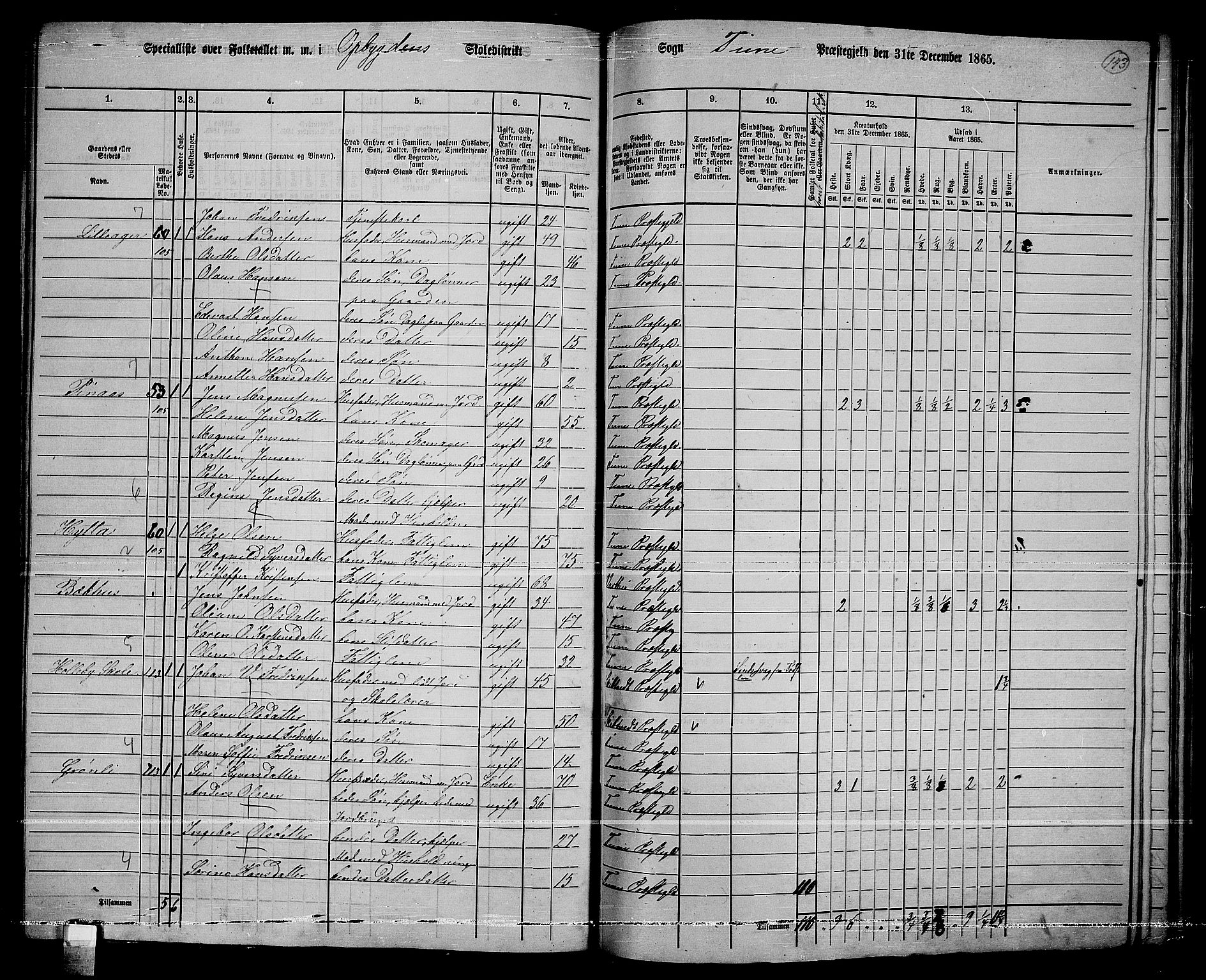 RA, 1865 census for Tune, 1865, p. 225