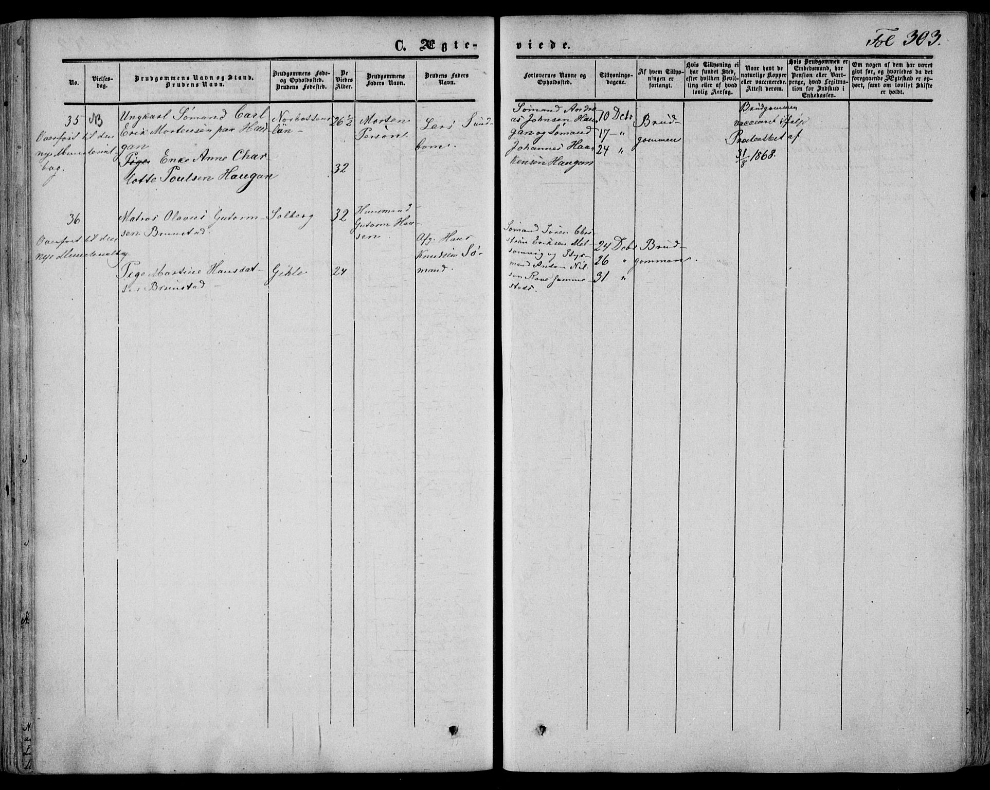 Stokke kirkebøker, AV/SAKO-A-320/F/Fa/L0008: Parish register (official) no. I 8, 1858-1871, p. 303